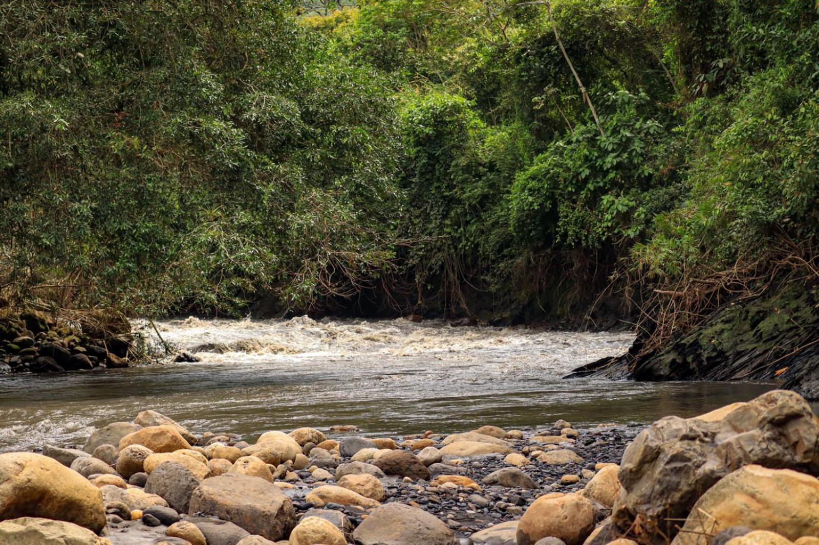 No Sólo Río
