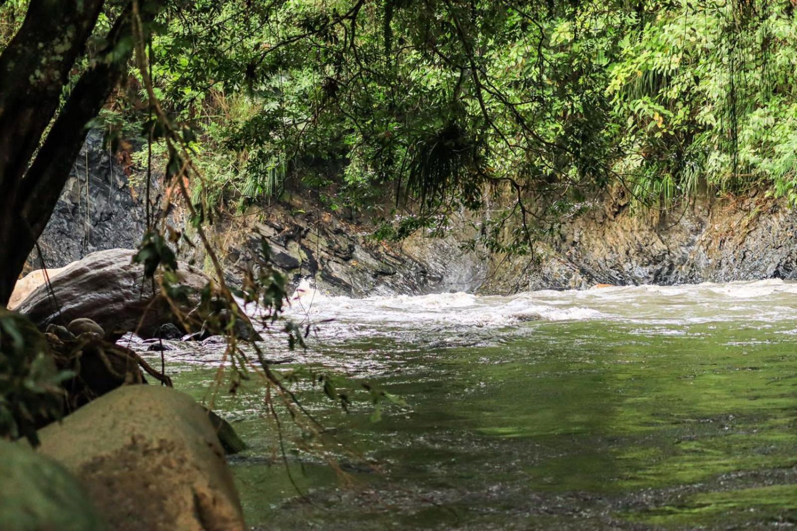 No Sólo Río