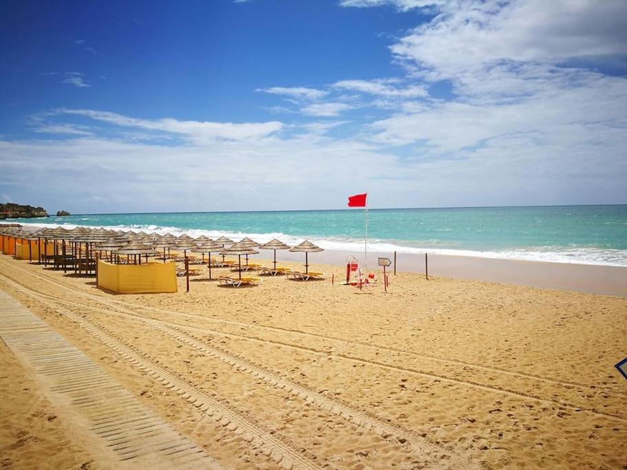 ALVOR BEACH STUDIO 603 view 4