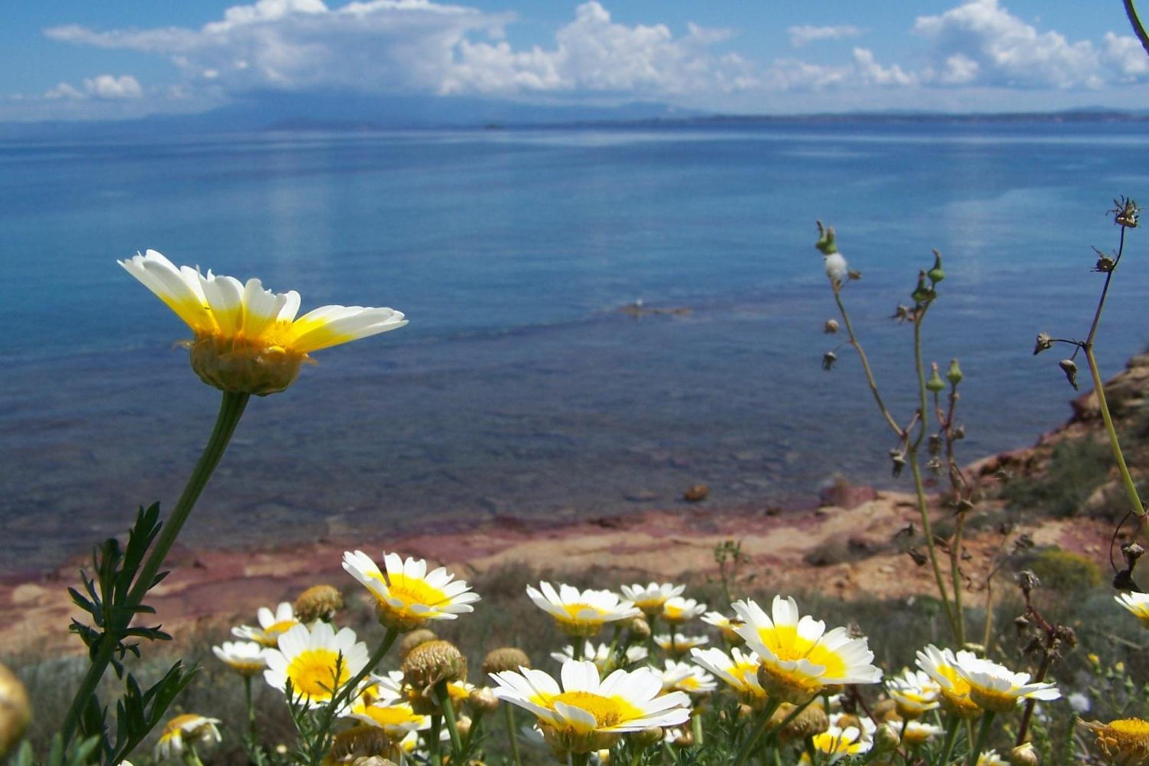 Aegean Bliss Residences - Karfas