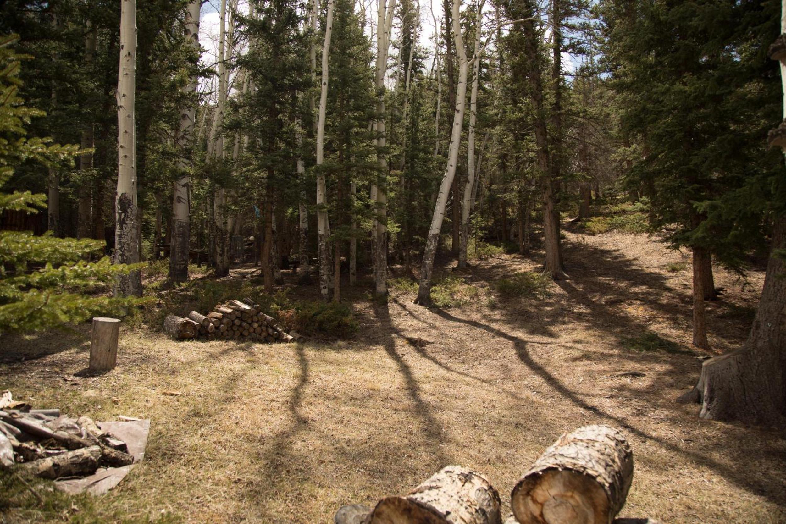 Photo 13