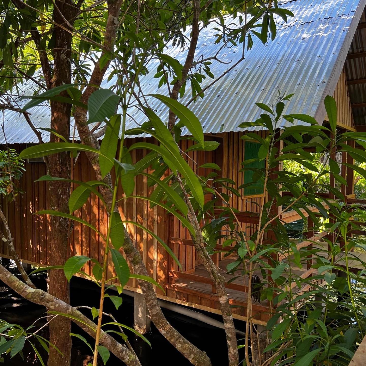Amazônia Exxperience