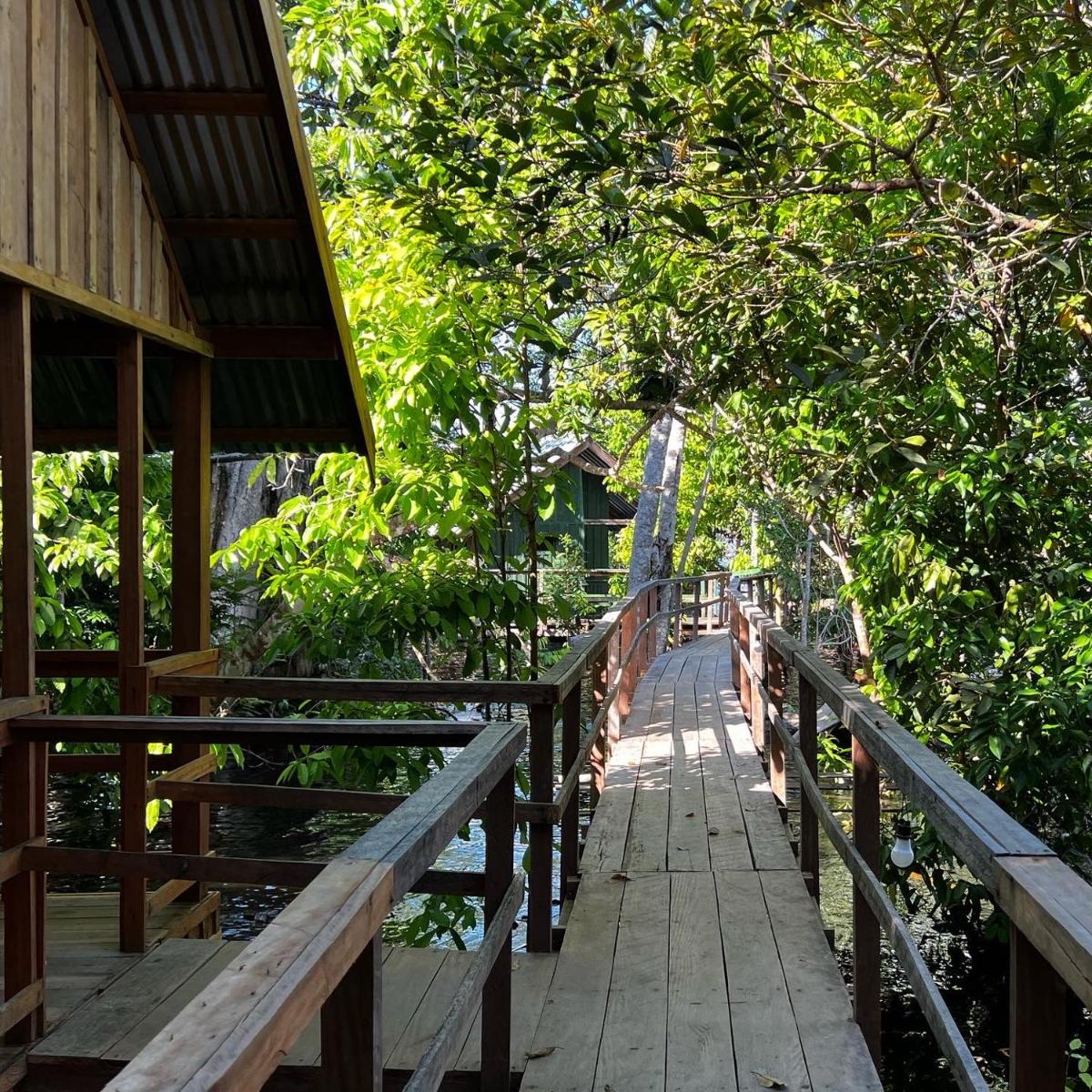 Amazônia Exxperience