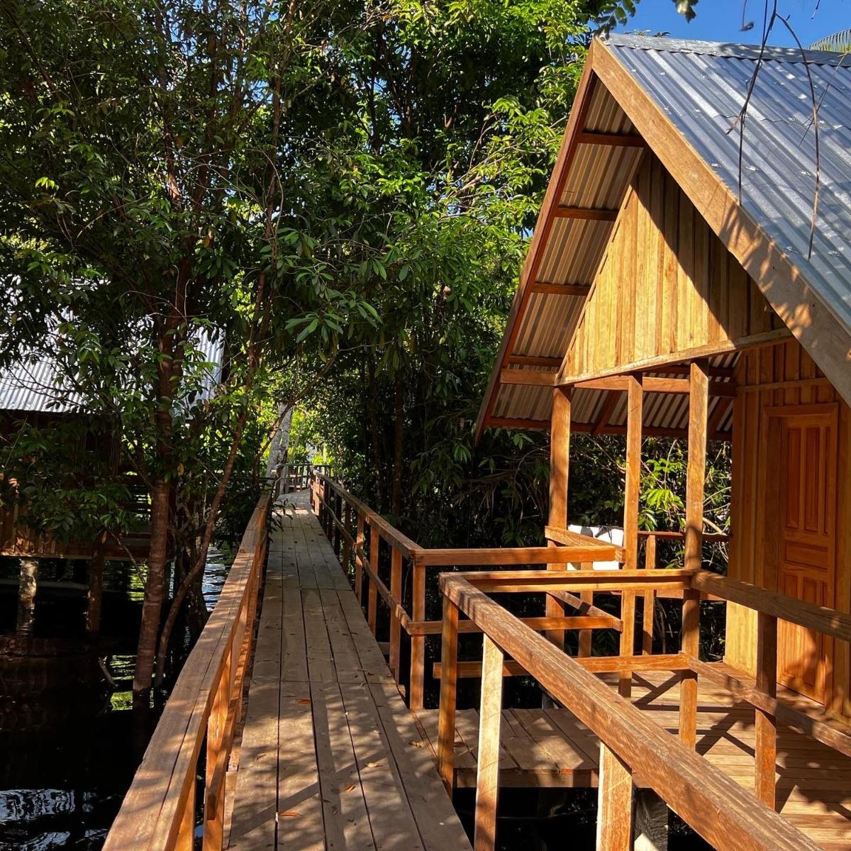 Amazônia Exxperience