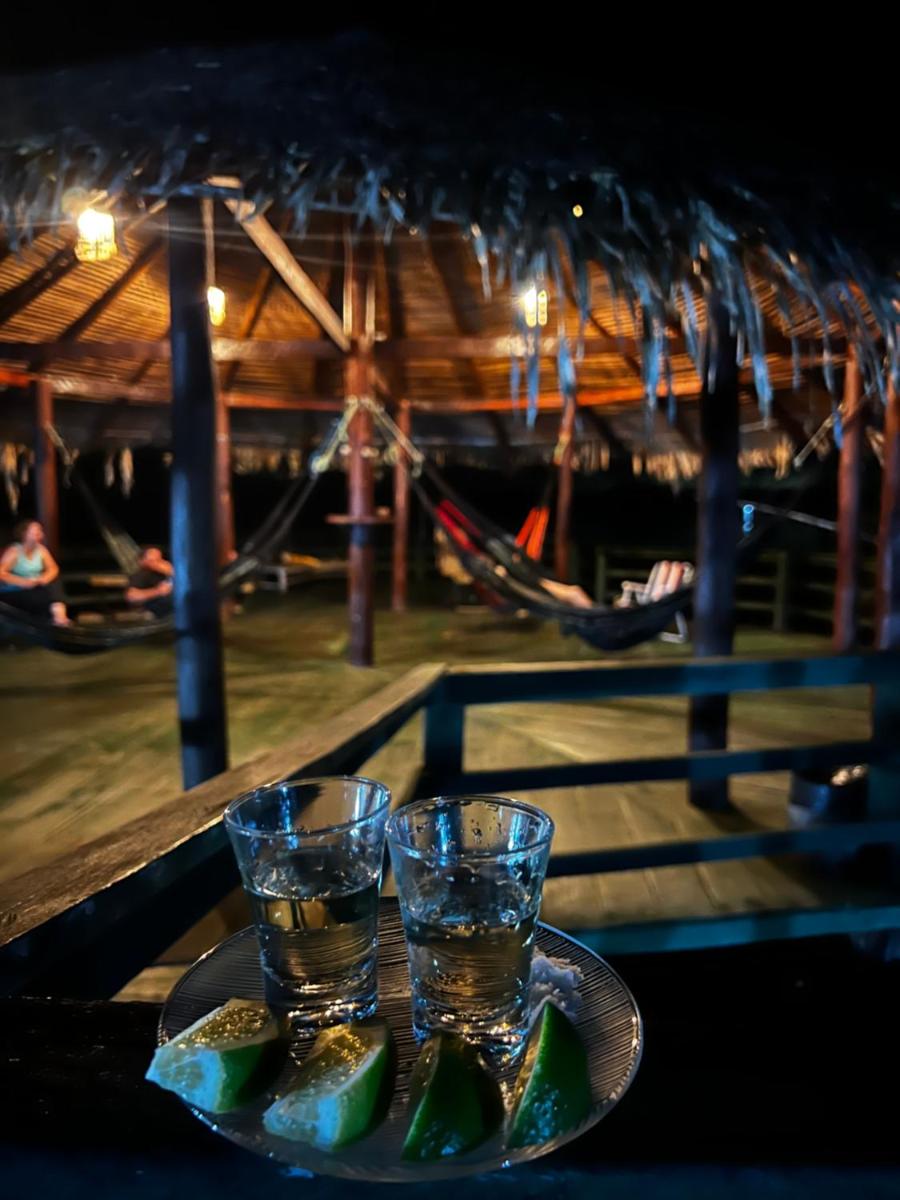 Amazônia Exxperience