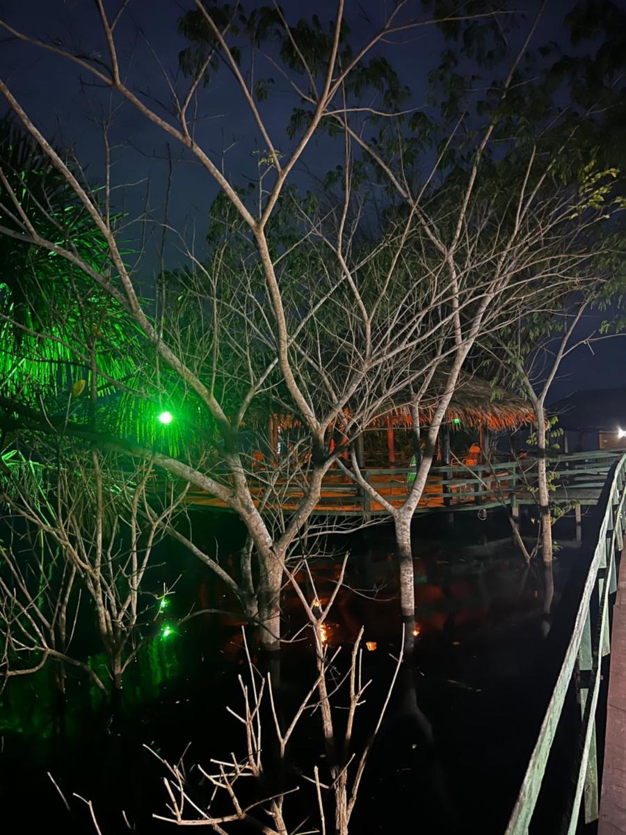 Amazônia Exxperience