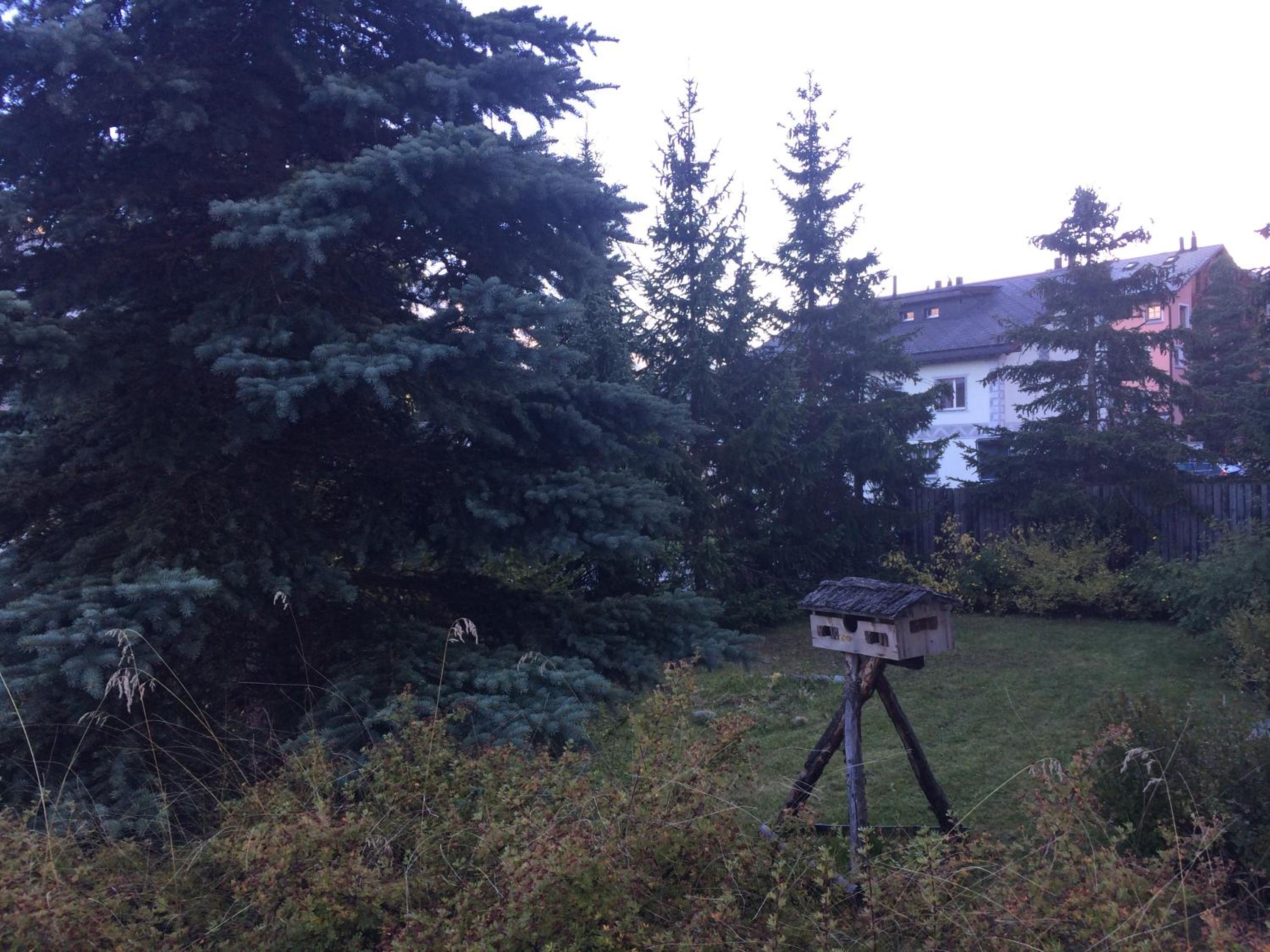 Photo 21