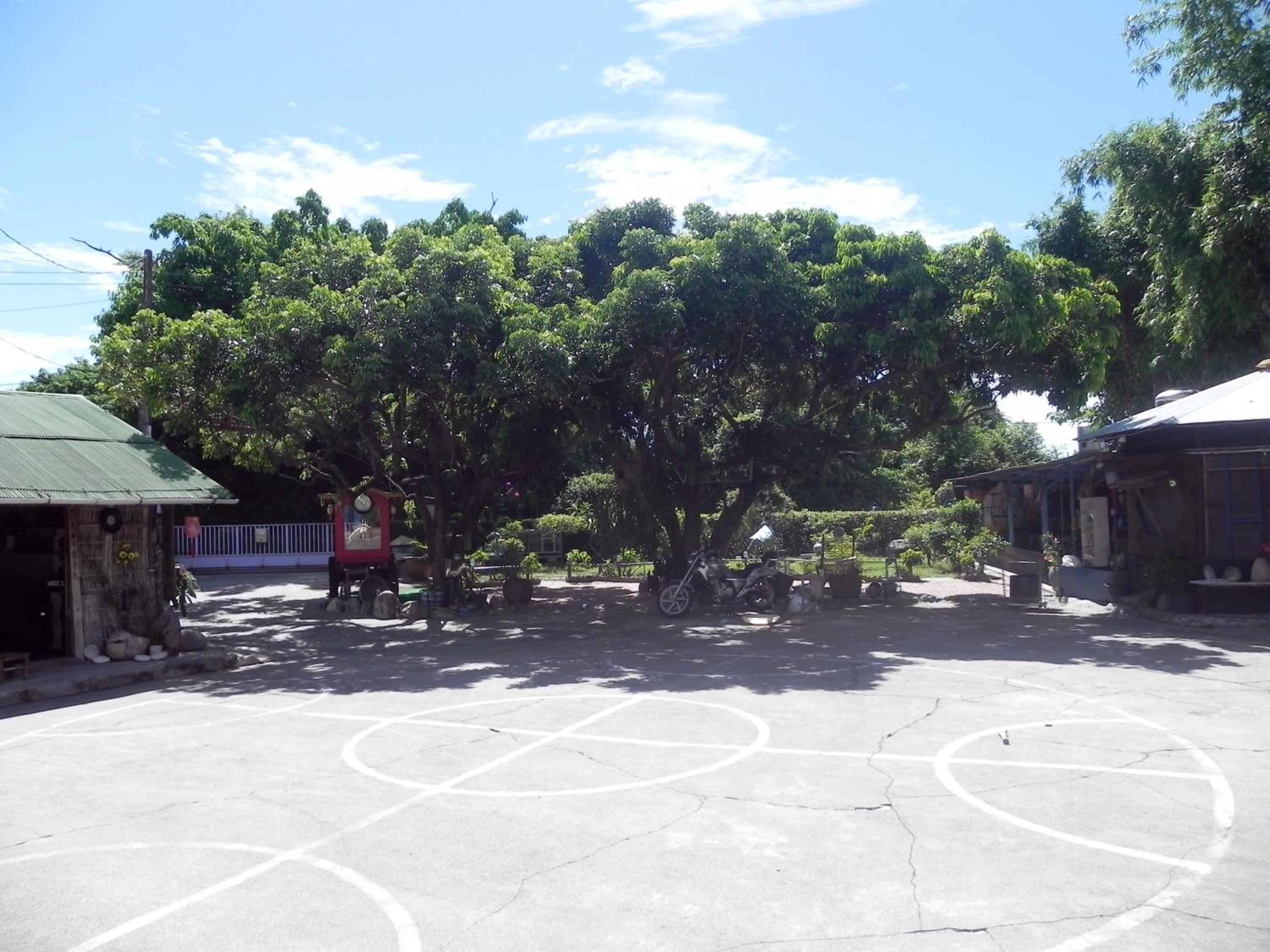 Photo 41