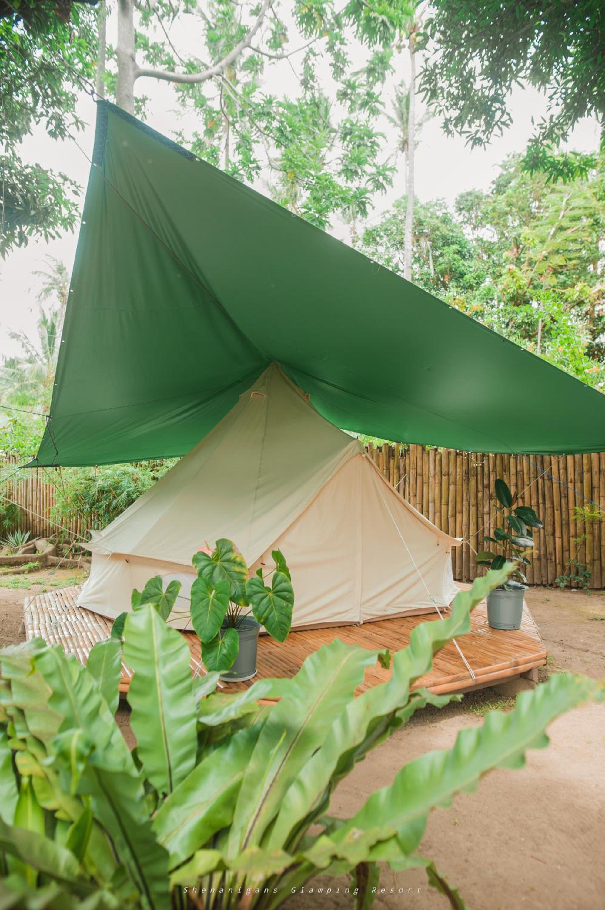 Shenanigans Glamping Resort view 5