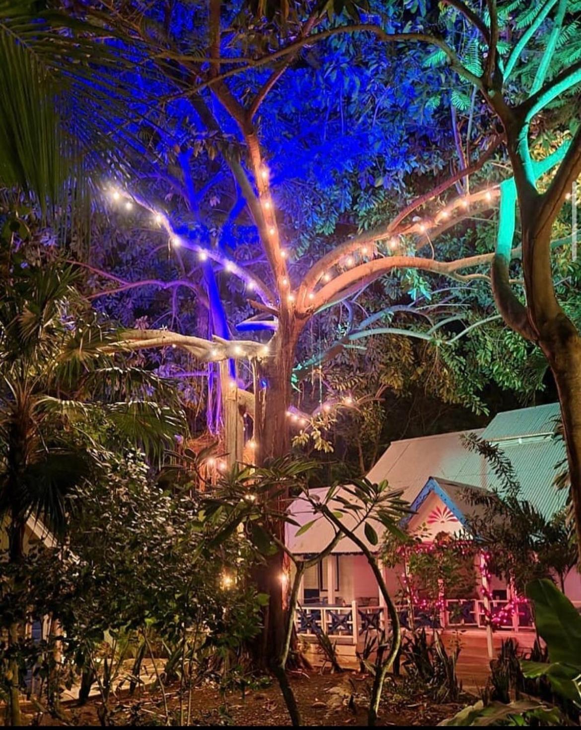 Hotel Bak A Yaad - Image 1