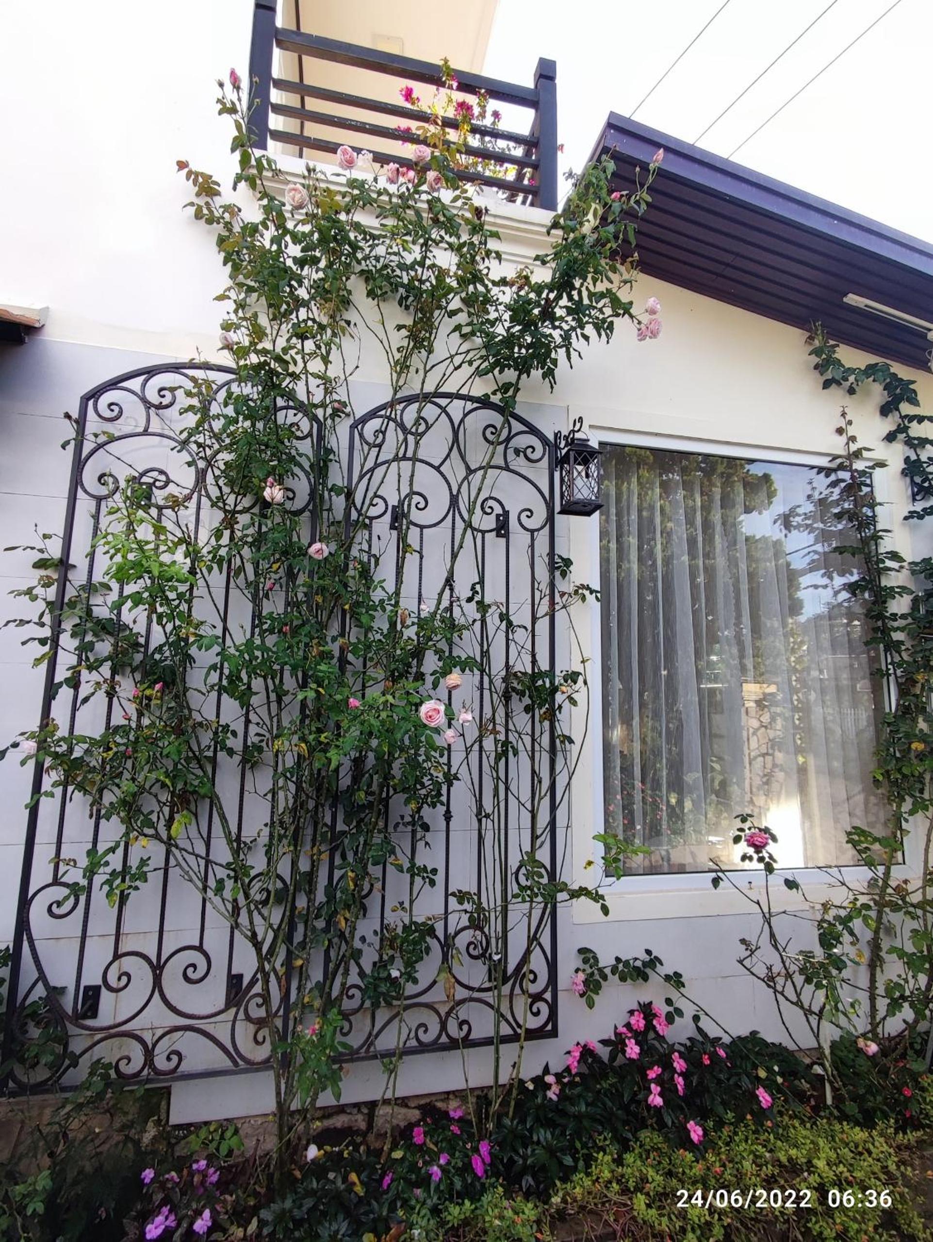 The 1954 House view 4