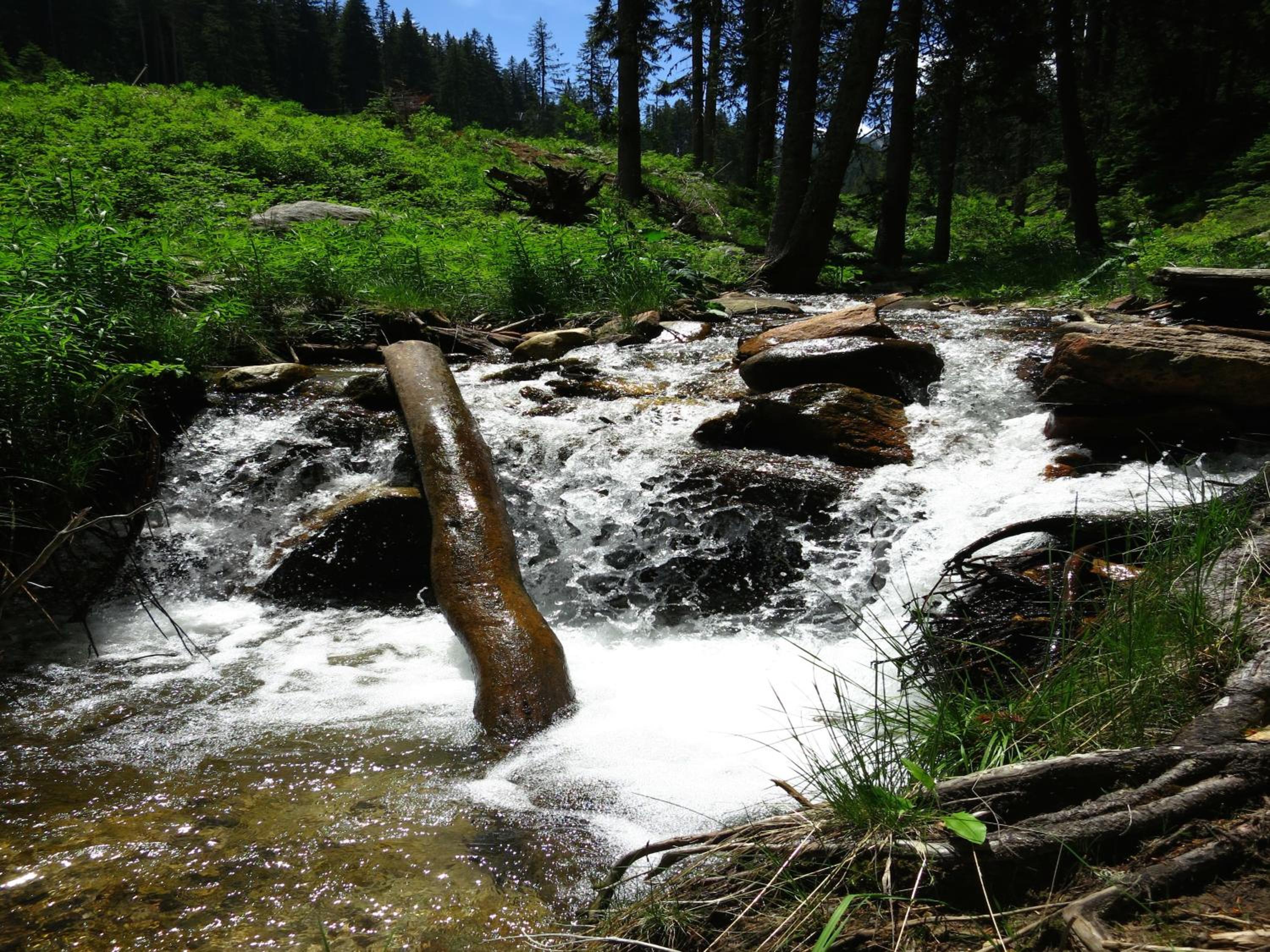 Photo 44