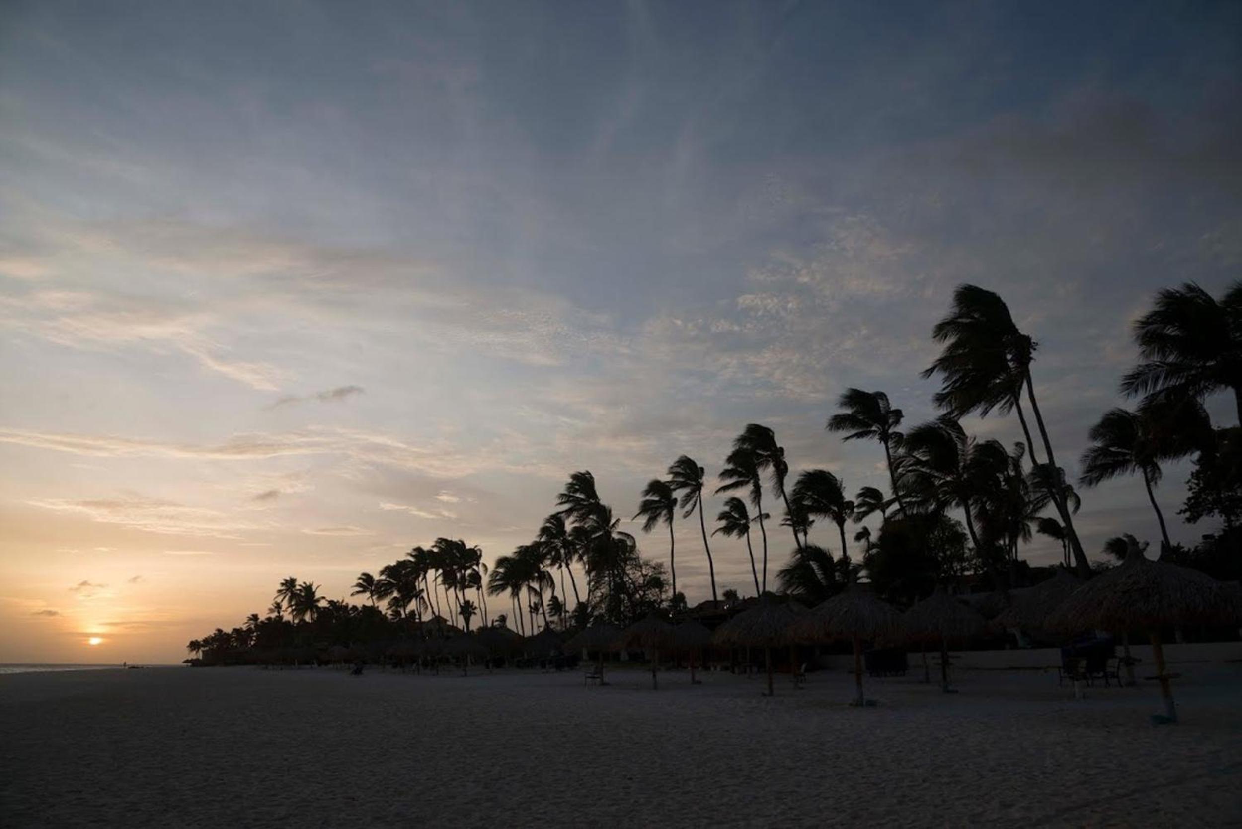 Divi Dutch Village Beach Resort - Property Image 8