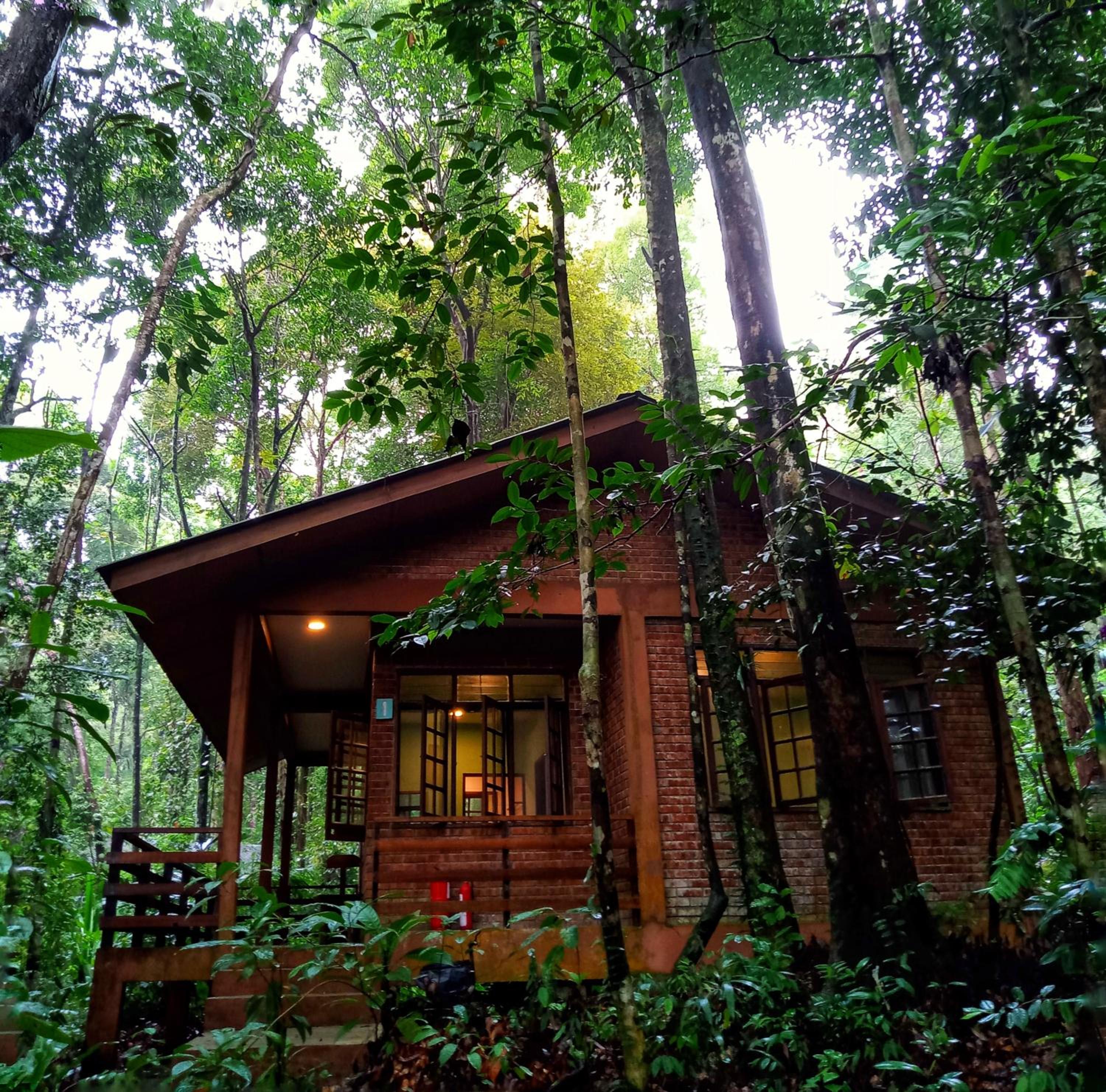Permai Rainforest Resort photo 4