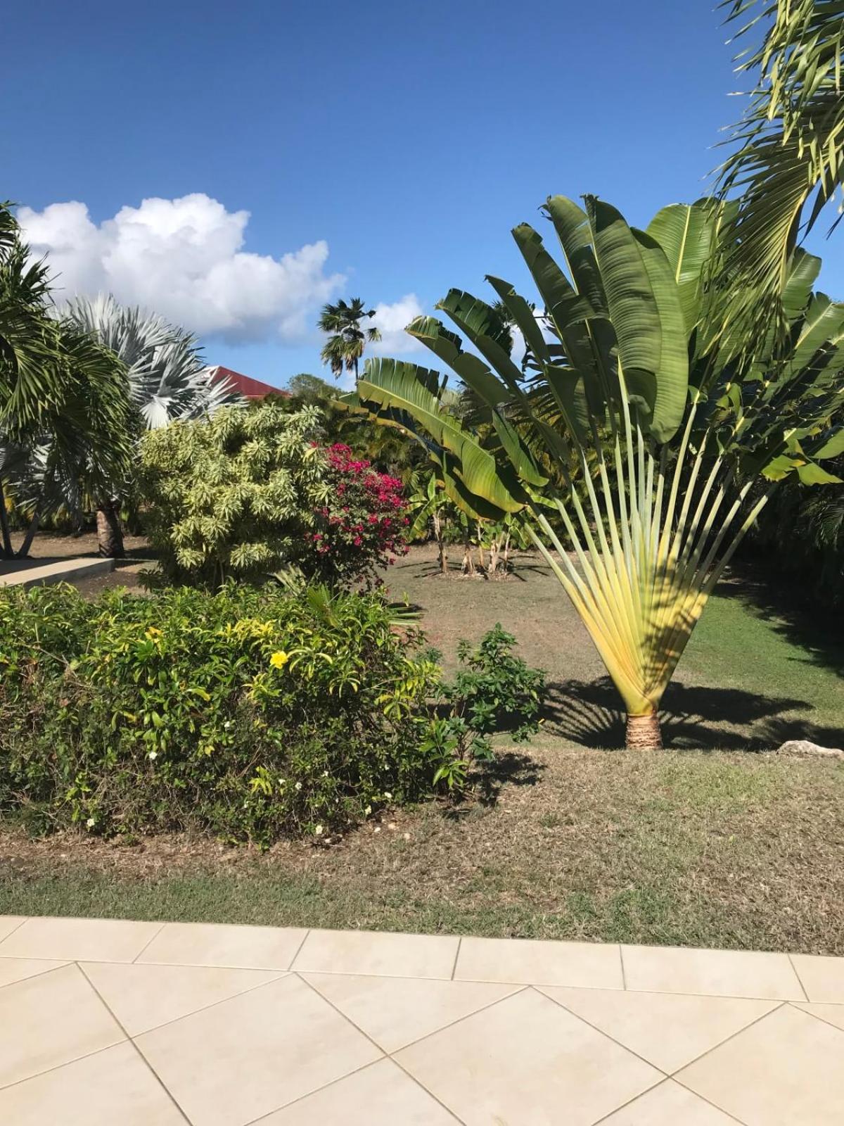 Villa Arbre Du Voyageur view 2