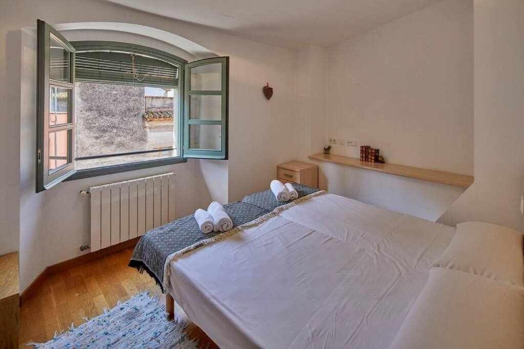 Apartamento Francesc Samsó, Girona view 2