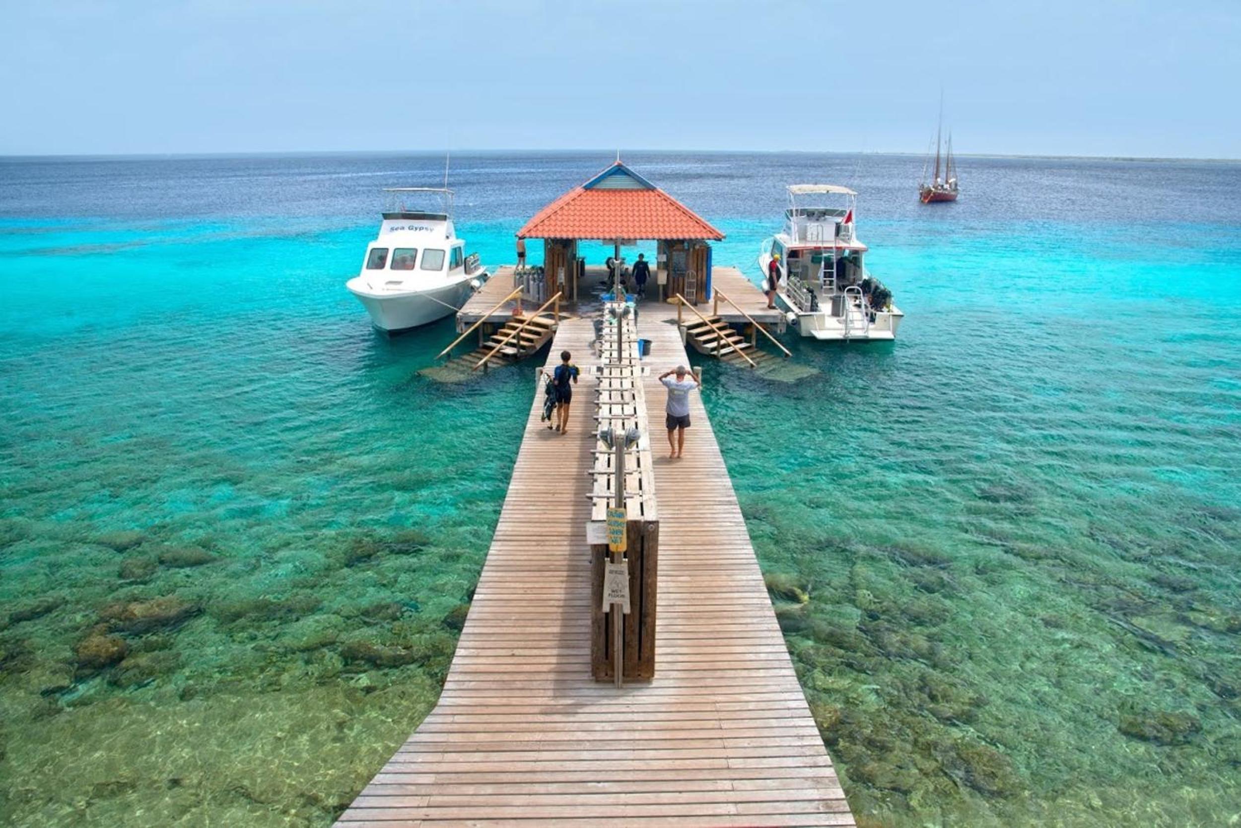 Divi Flamingo Beach Resort - Photo 52
