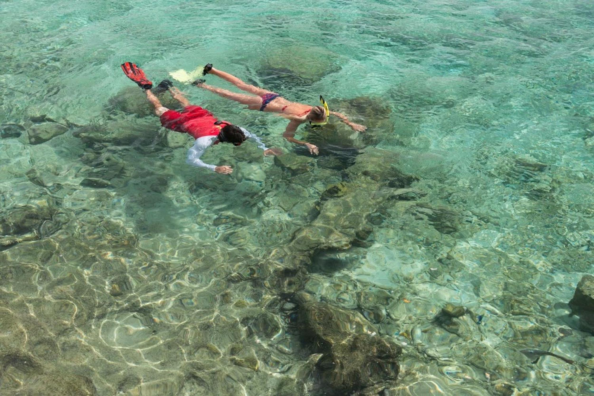 Divi Flamingo Beach Resort - Photo 57