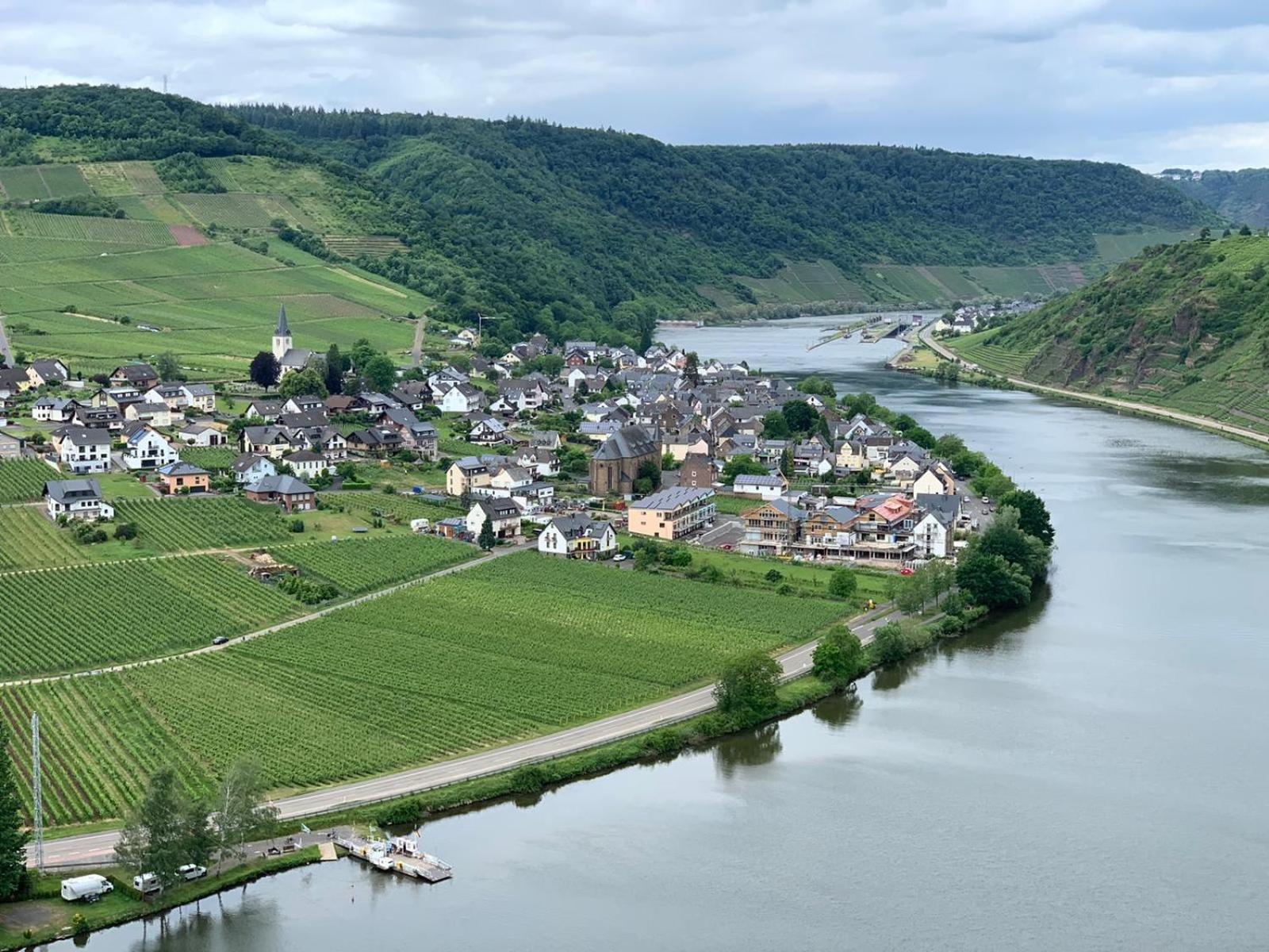 Weingut im Moselkrampen
