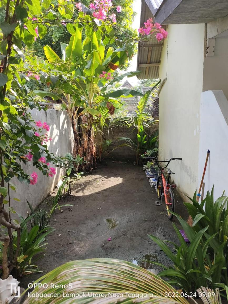 Photo 46