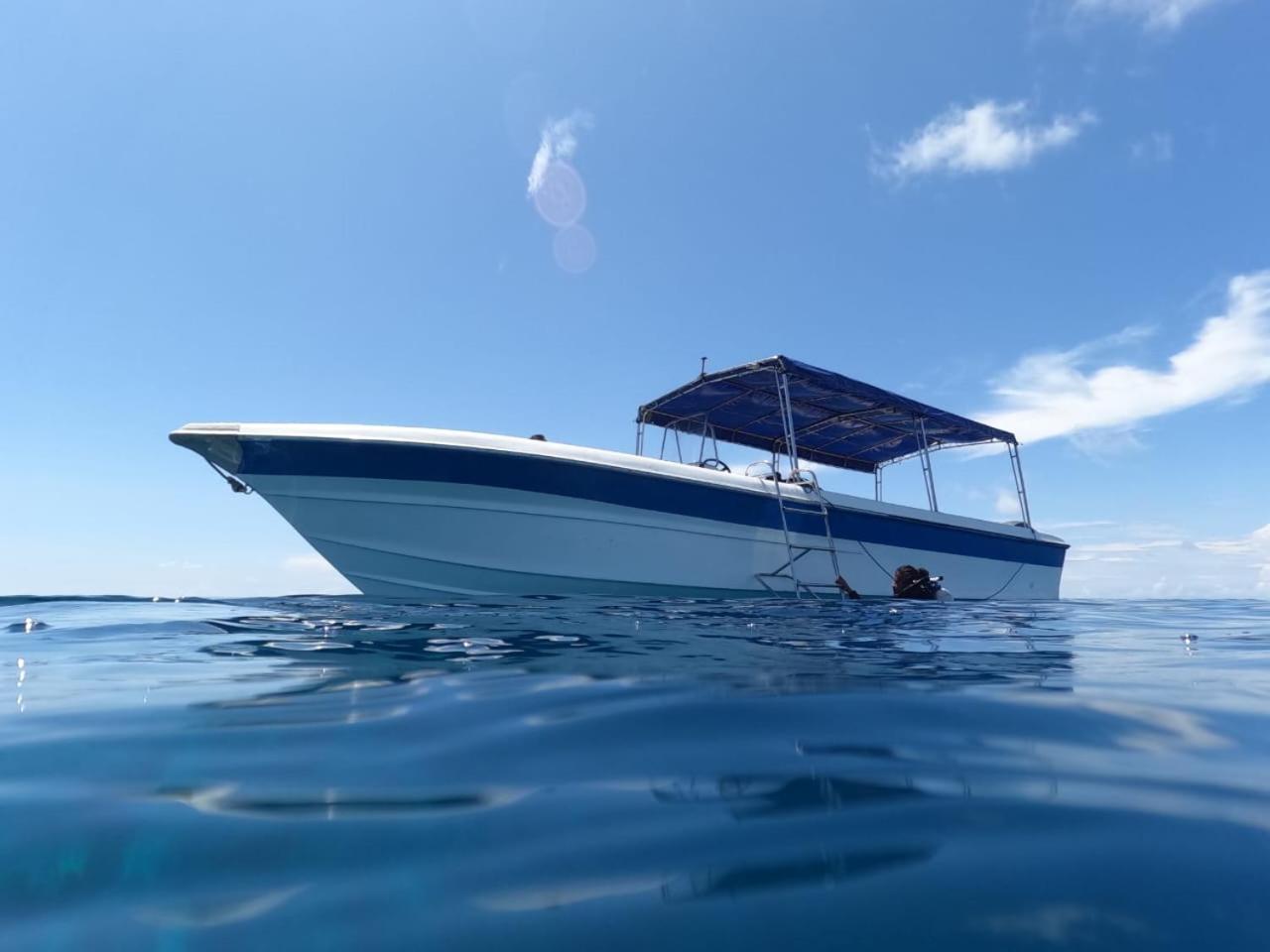 Maratua Dive Center And Lodge view 5