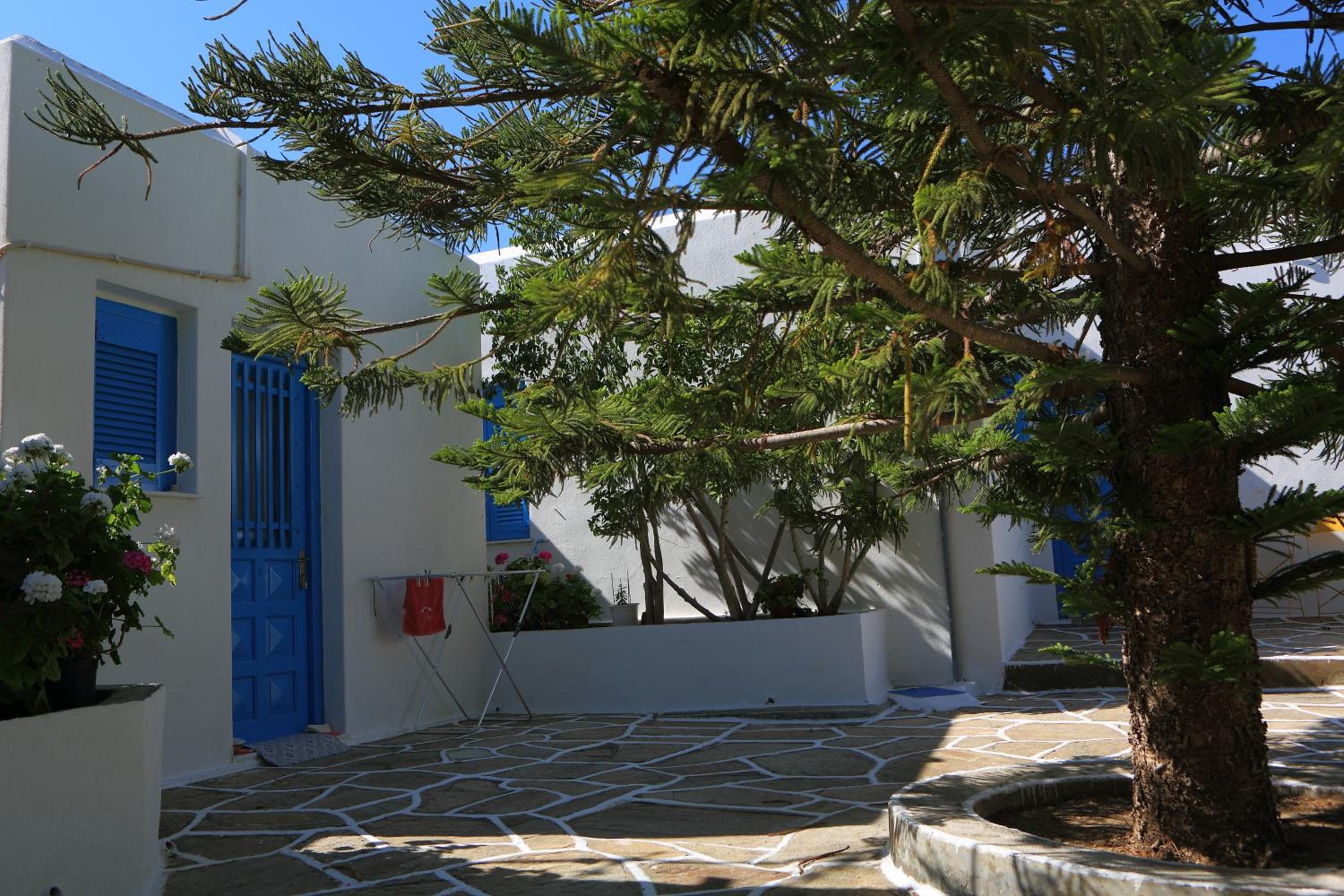 Photo 43