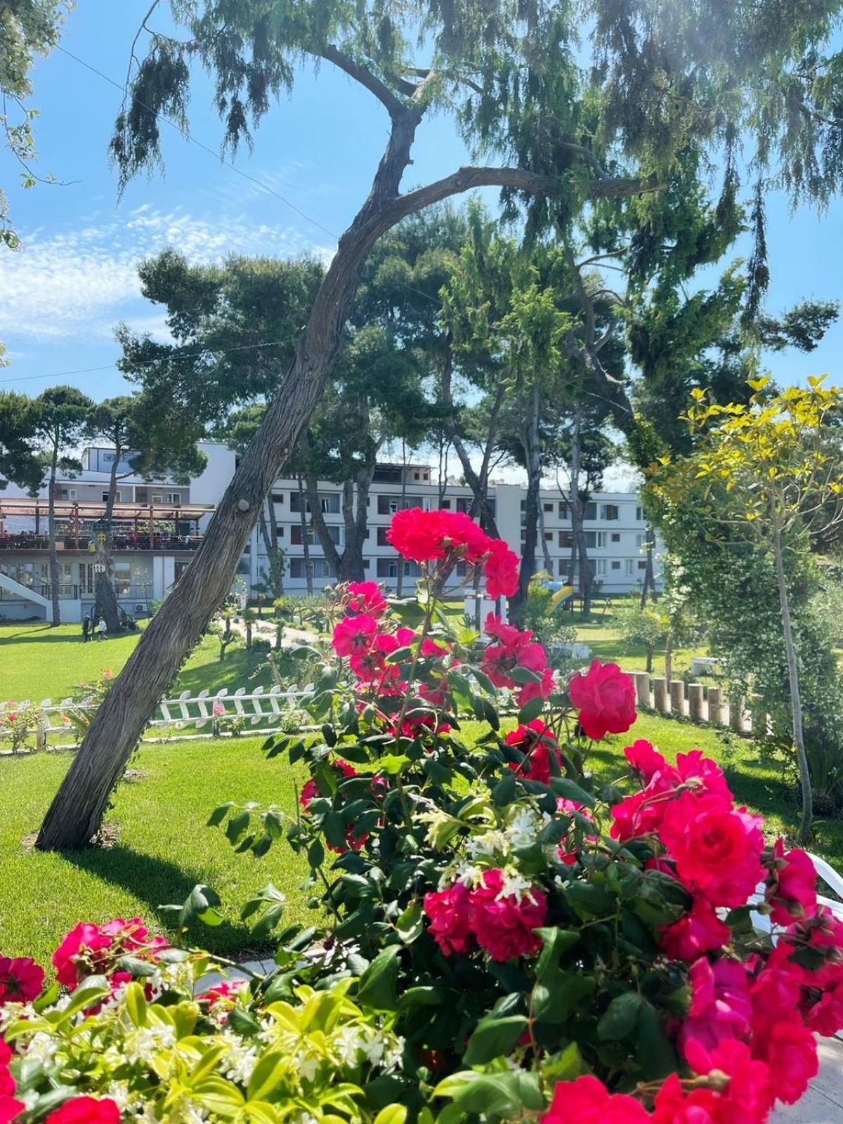 Divjaka Resort
