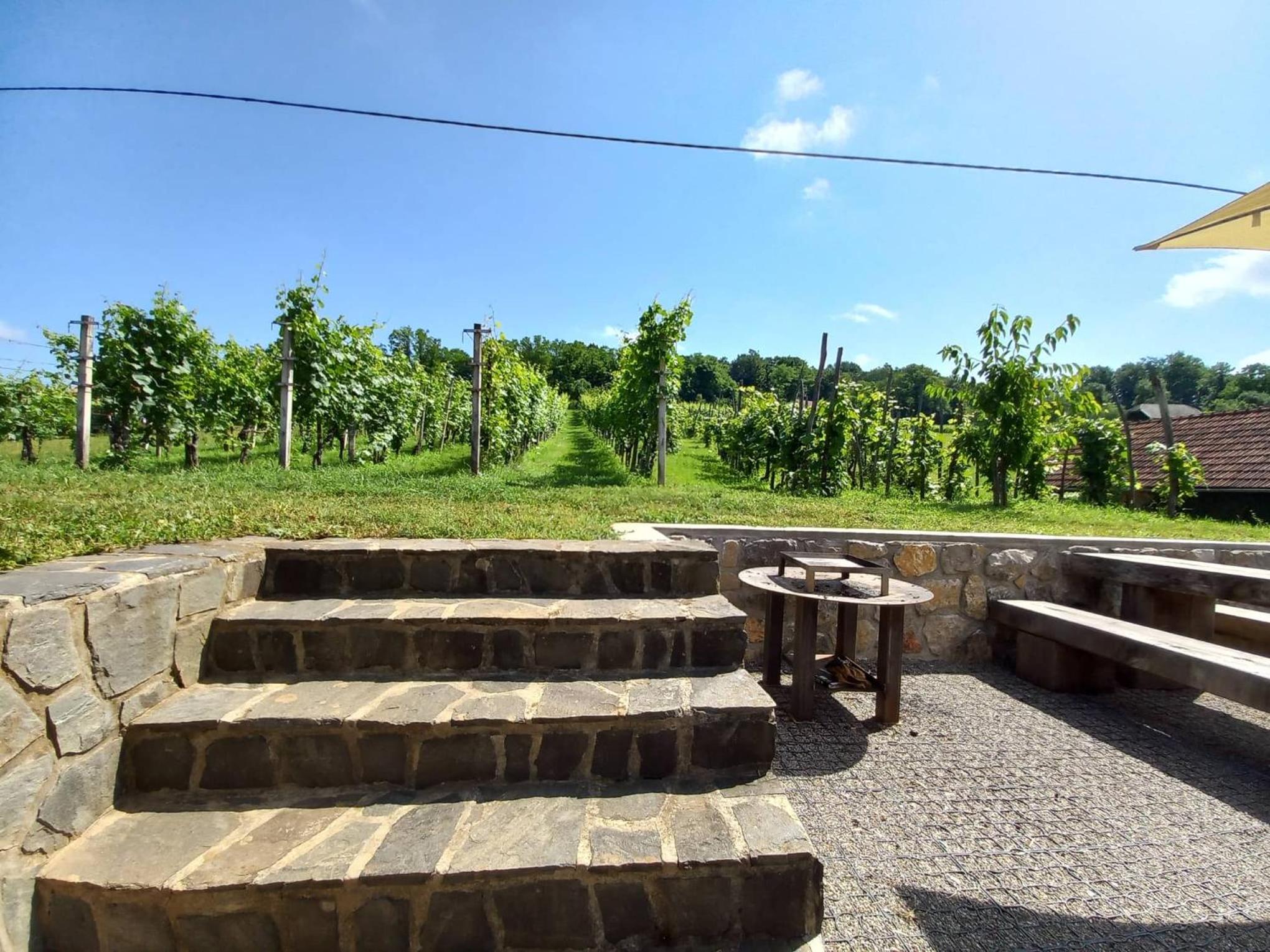 Vineyard Cottage Maleric with Pool Access