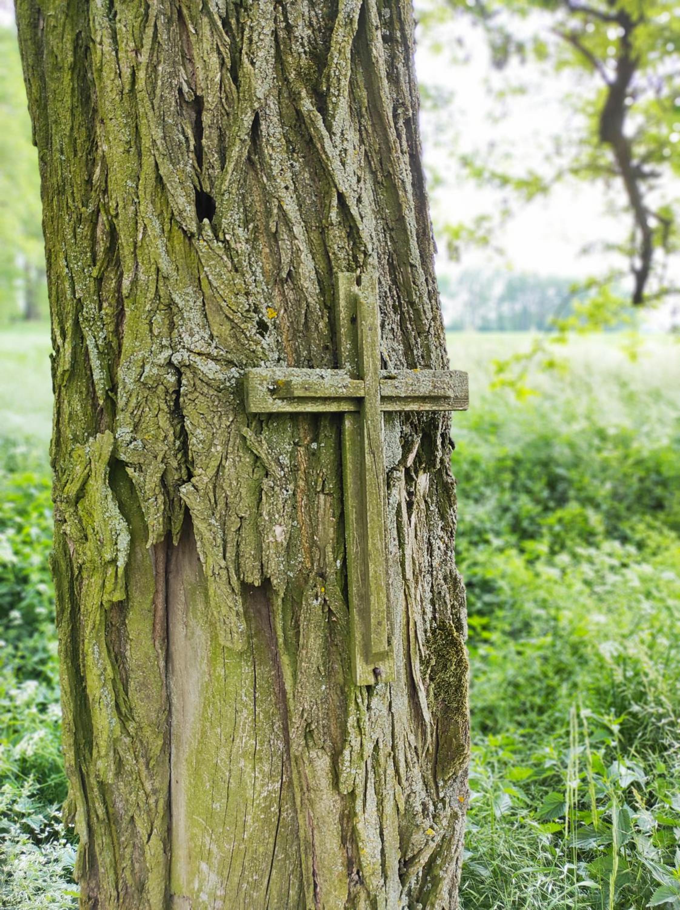 Prázdninový dům Bezkov u Znojma