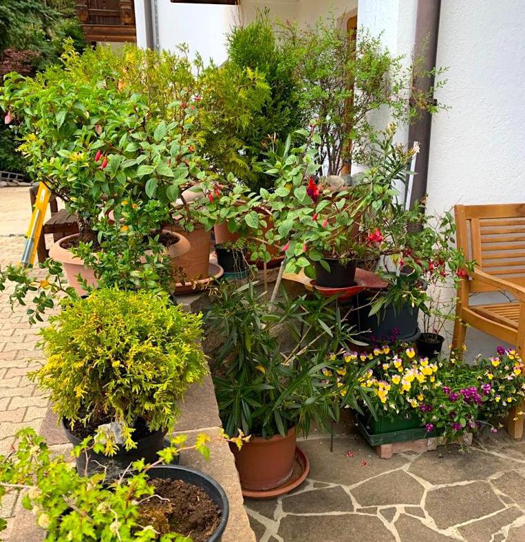 Photo 19