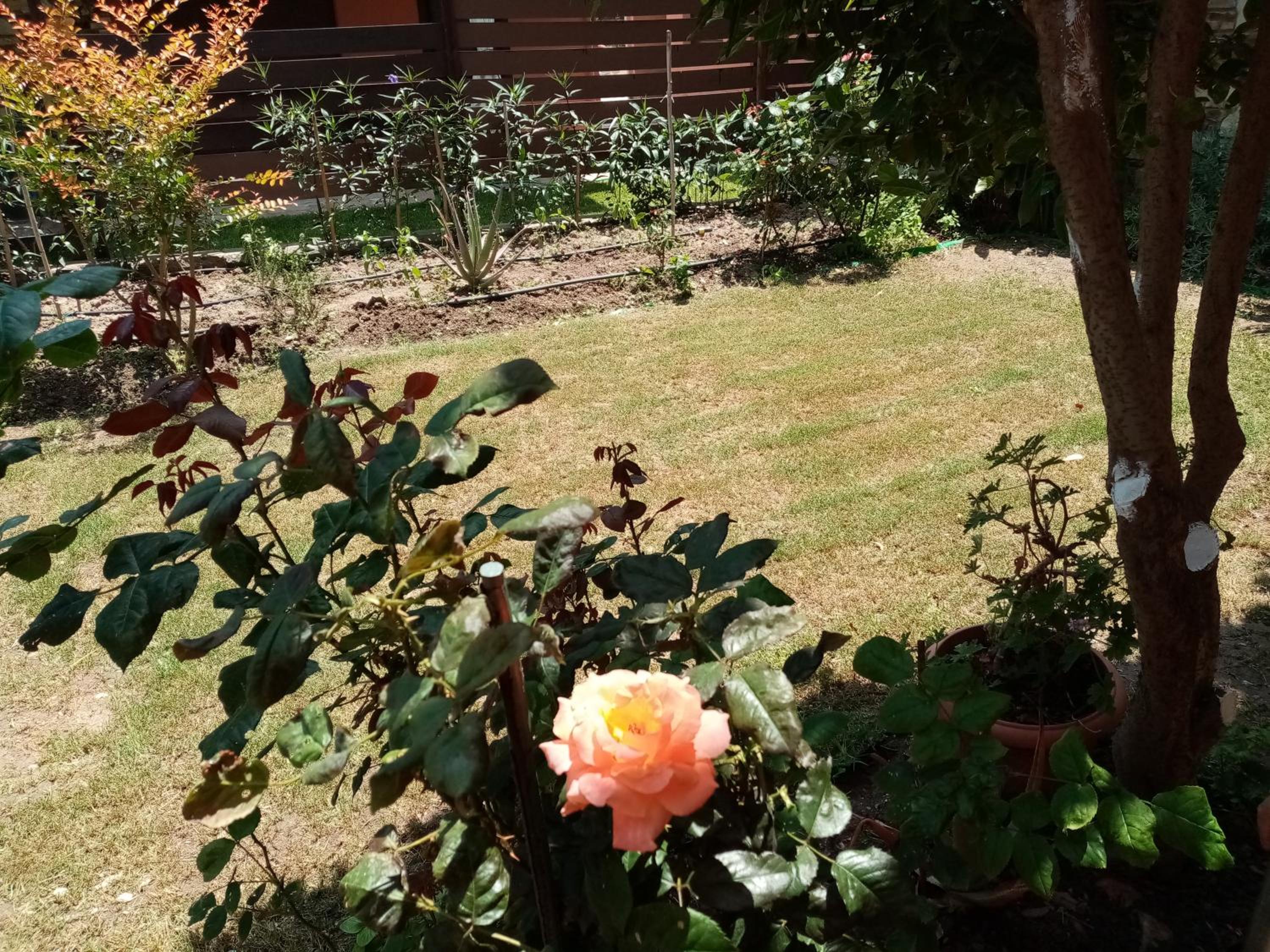 Mary's House view 3