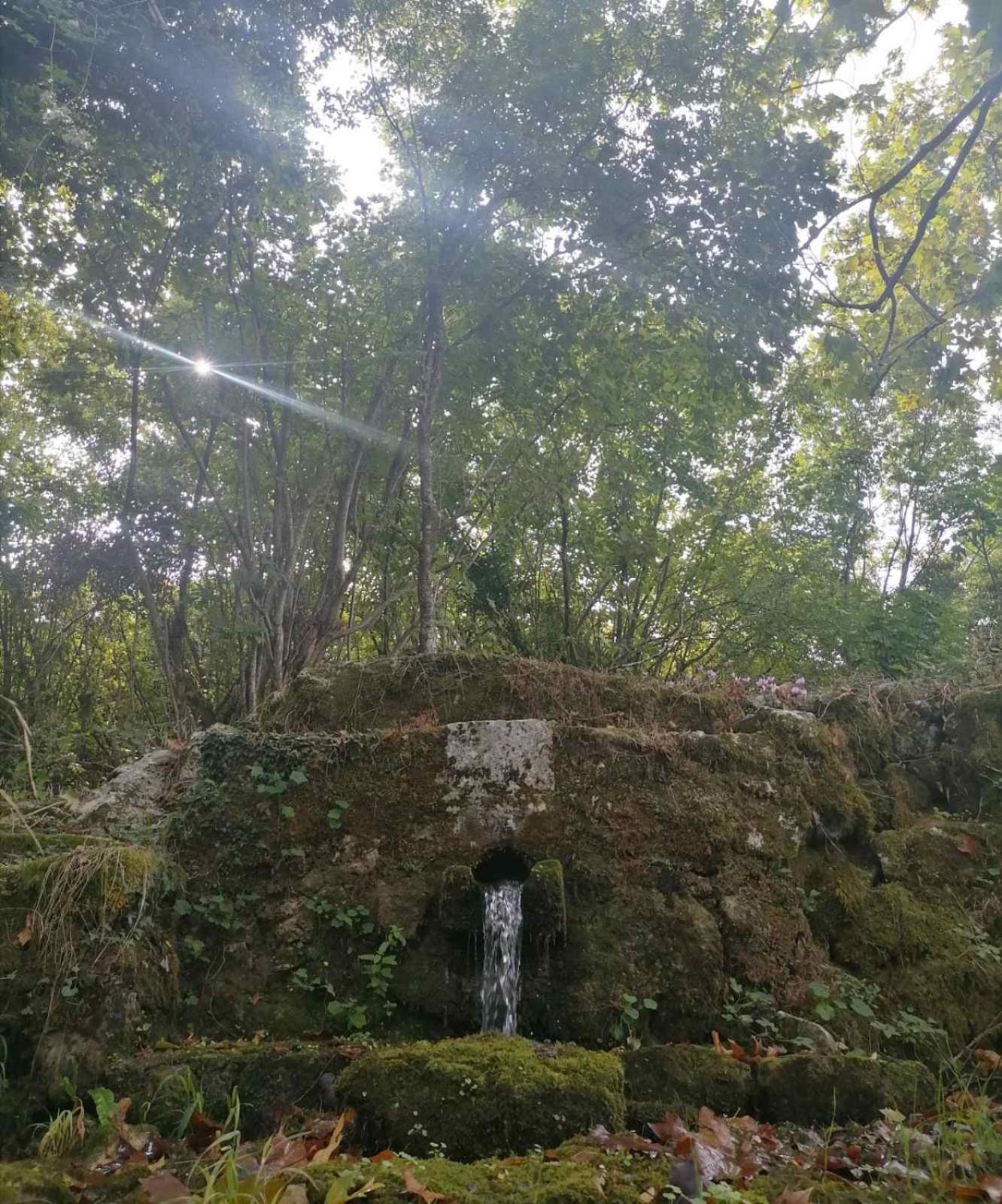 Seosko domaćinstvo Gojnić - Donji Brčeli view 2