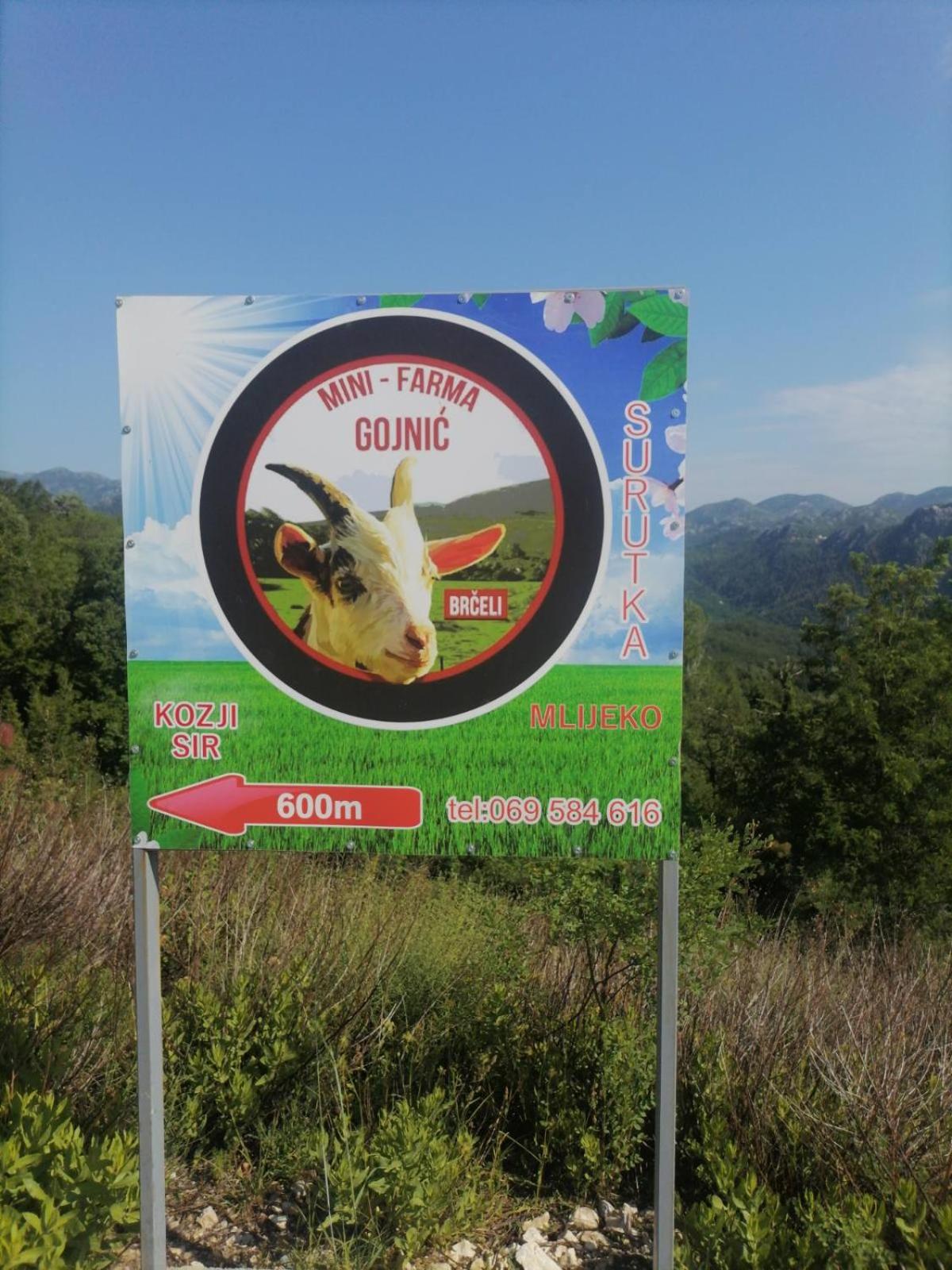 Seosko domaćinstvo Gojnić - Donji Brčeli view 3