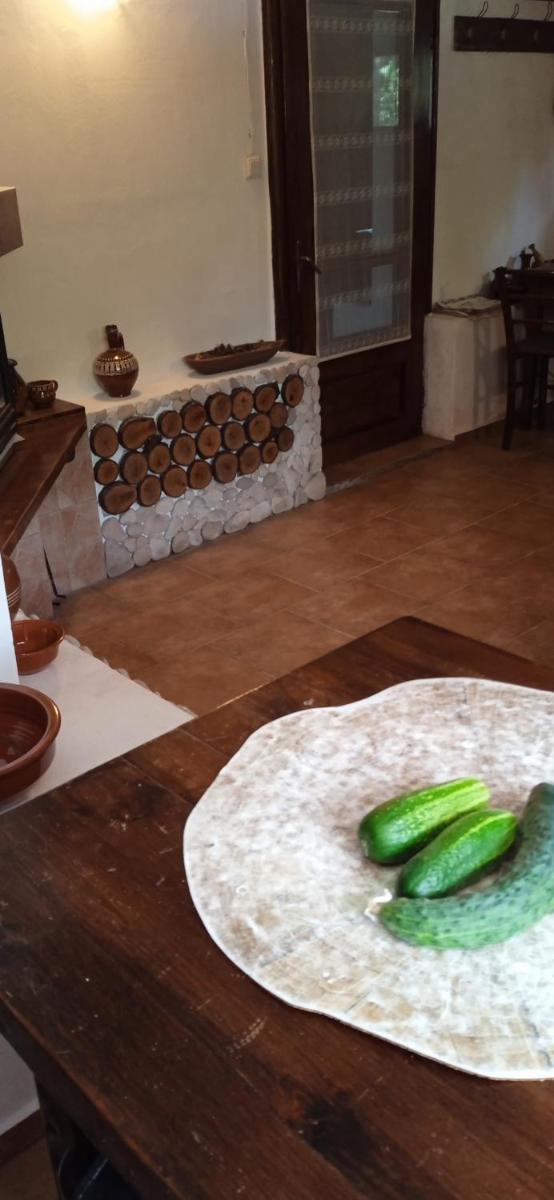 Guest House Hristovi