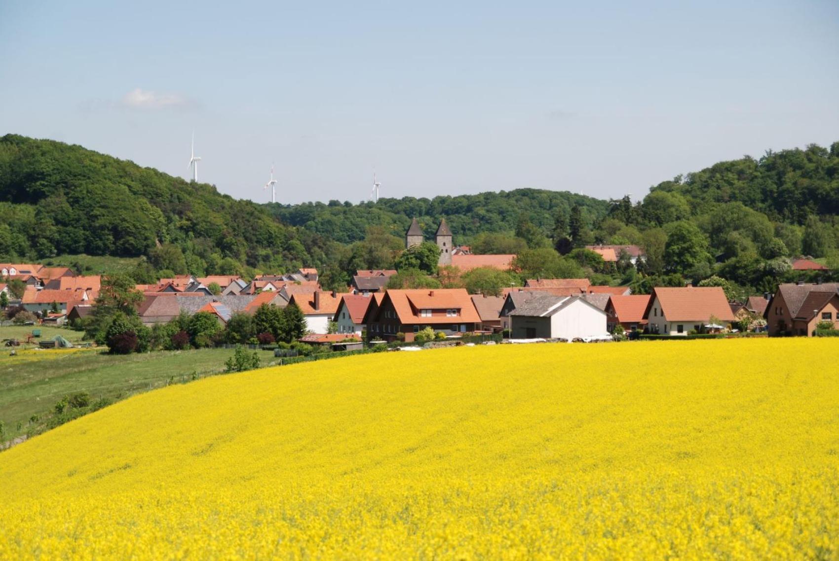 Sauerland-Tinyworld - Ihr Tiny Ferienhaus am Rande des Sauerlandes, Nähe Diemelsee