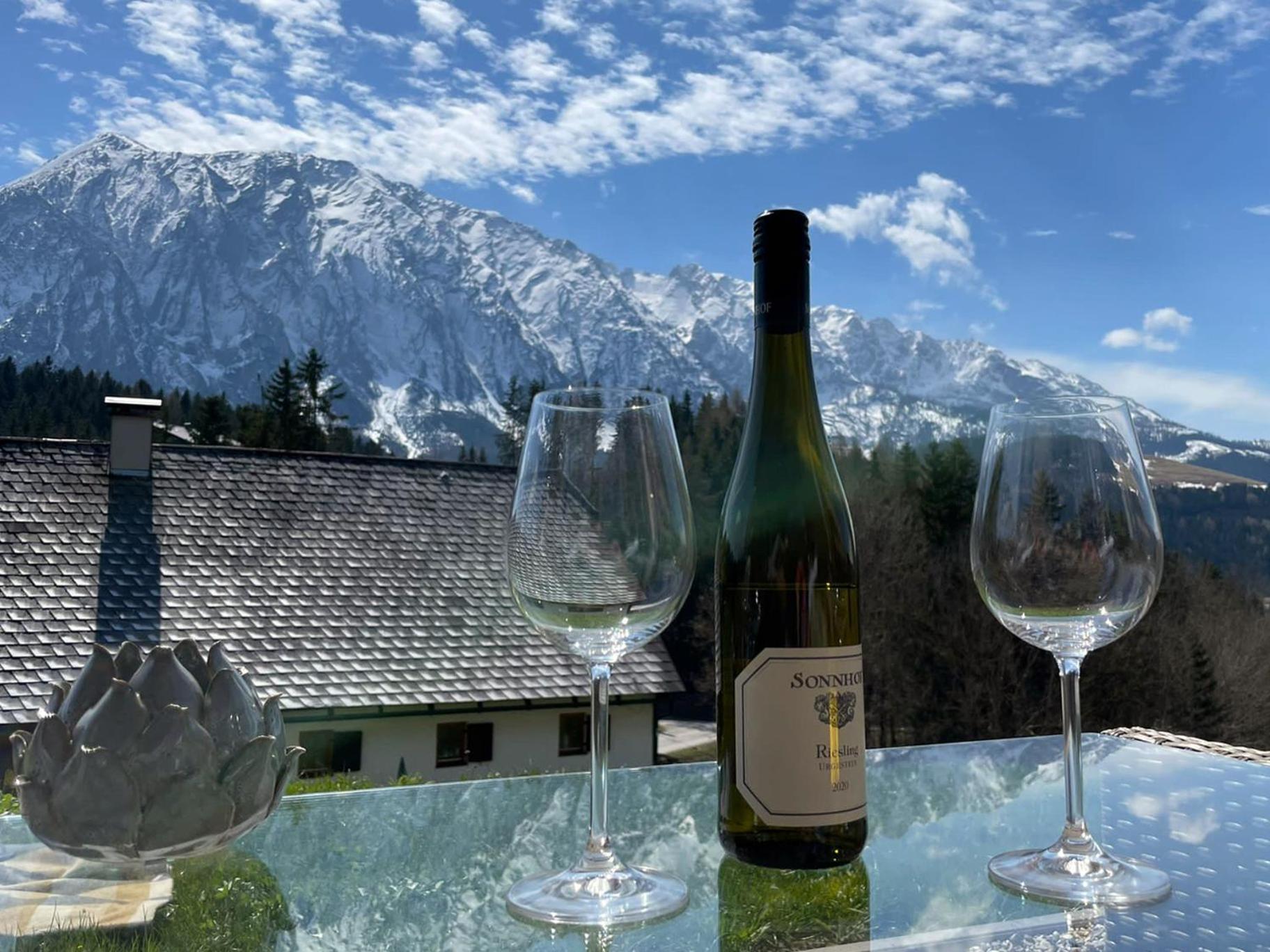 Alpenblick Apartment view 2
