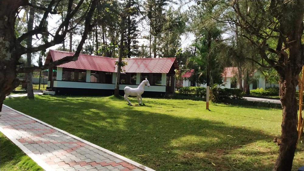 The Wild Fo'rest Resorts view 3