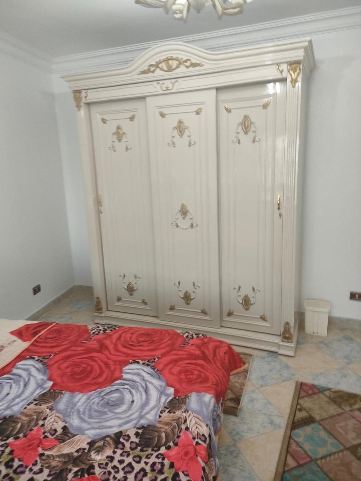 شقق المنيل