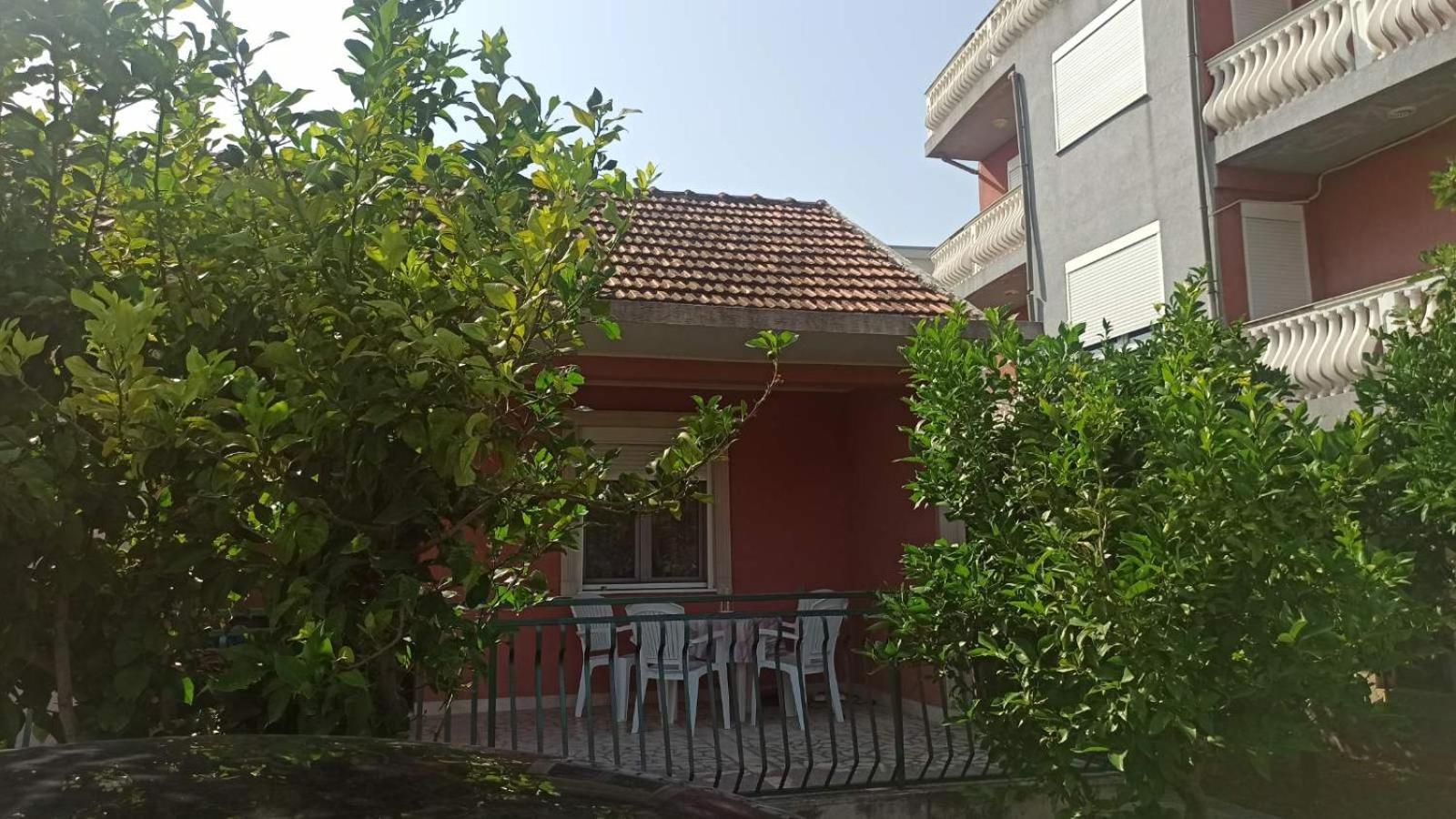 Lemon Tree photo 2