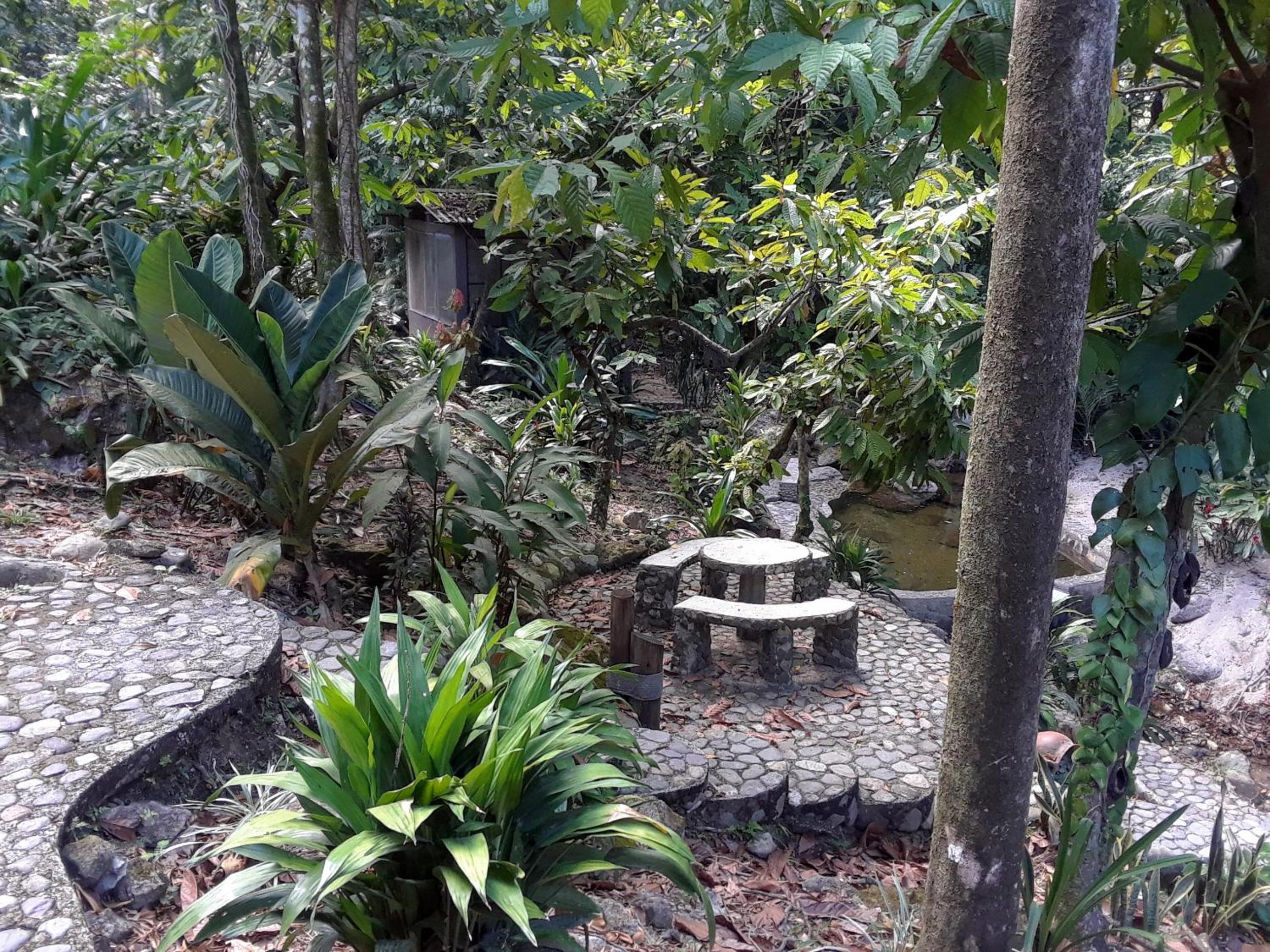 Photo 18