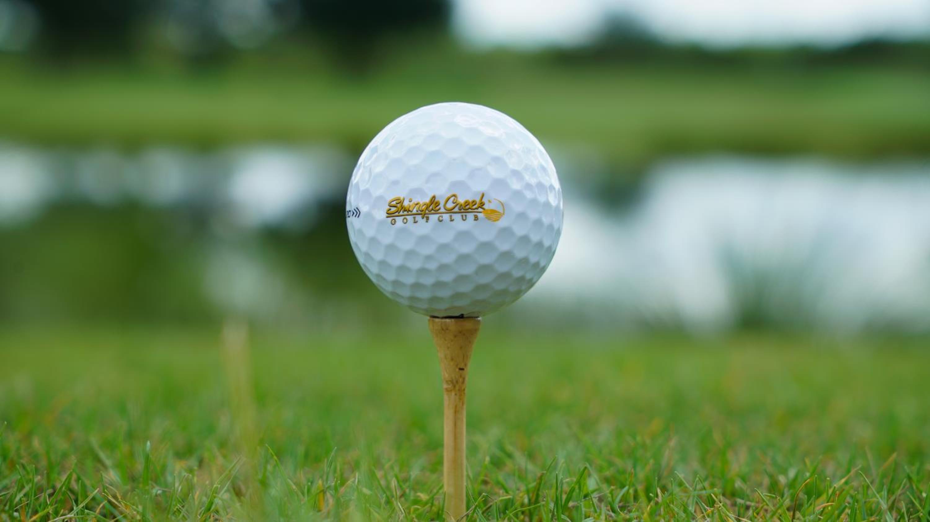 Rosen Shingle Creek Universal Blvd