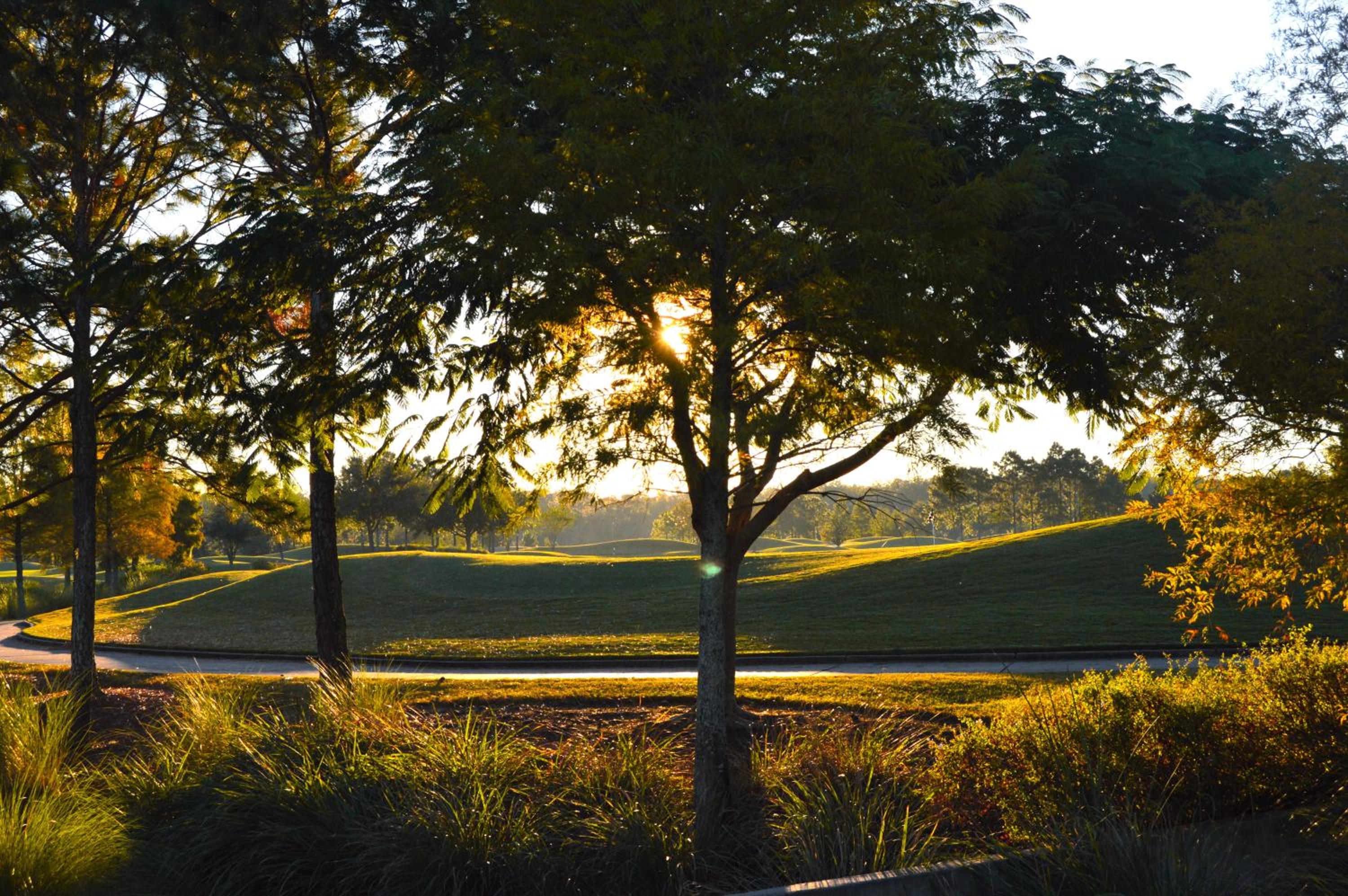 Rosen Shingle Creek Universal Blvd