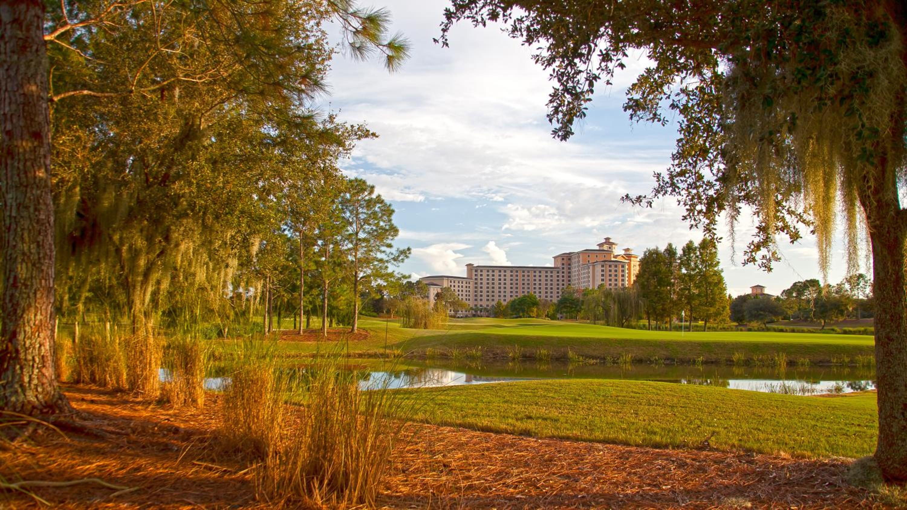 Rosen Shingle Creek Universal Blvd