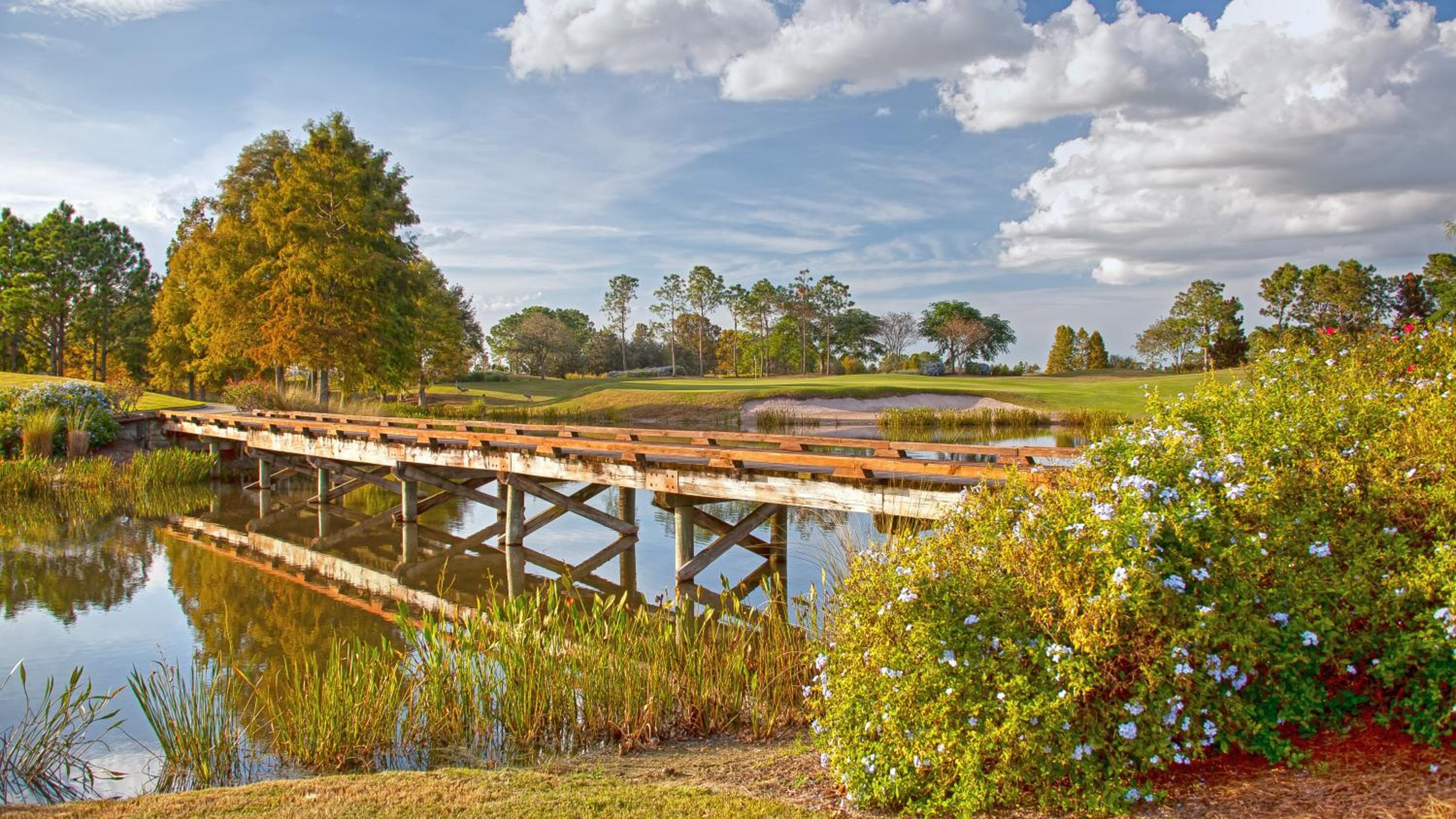 Rosen Shingle Creek Universal Blvd