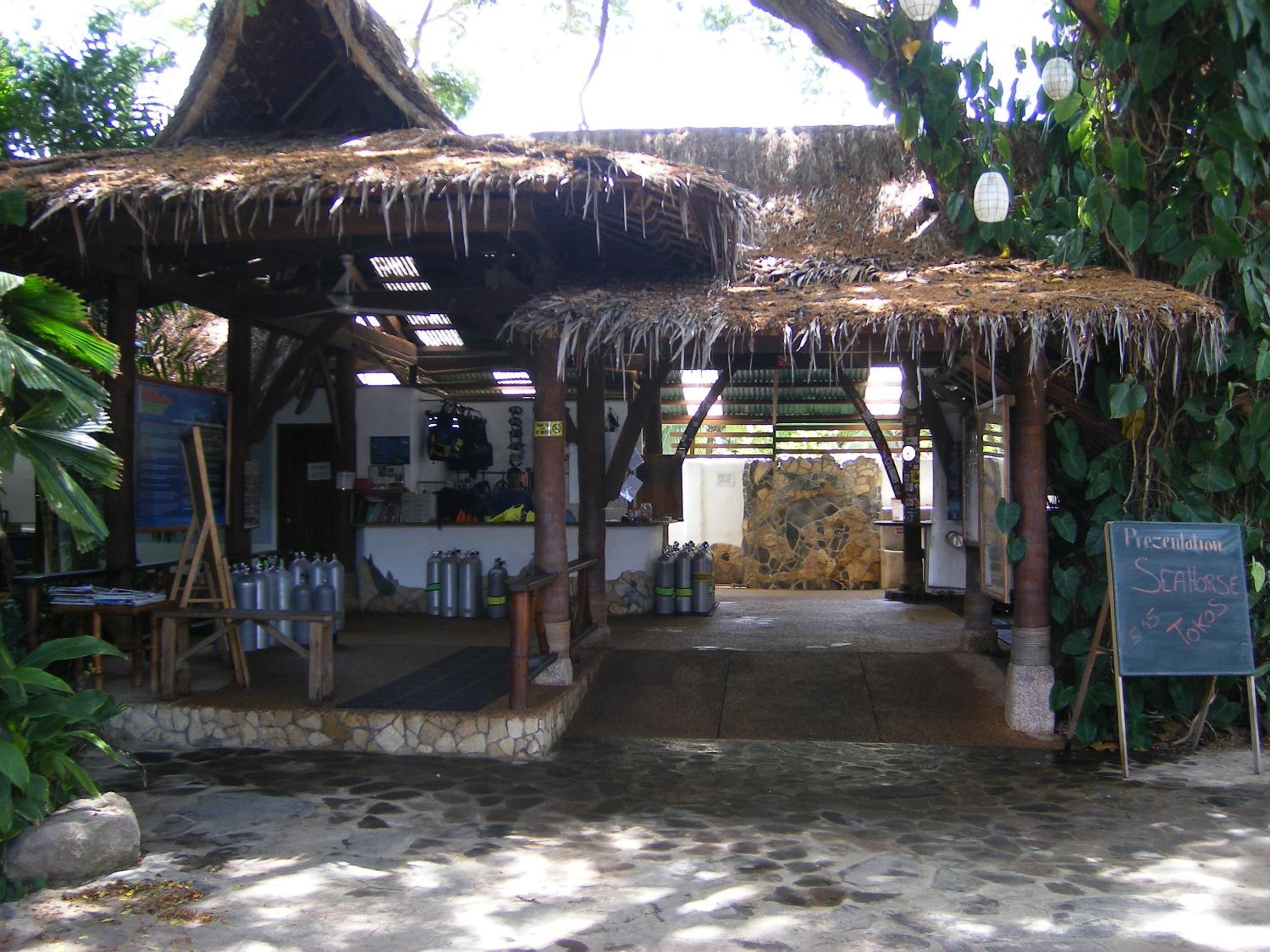 Photo 47