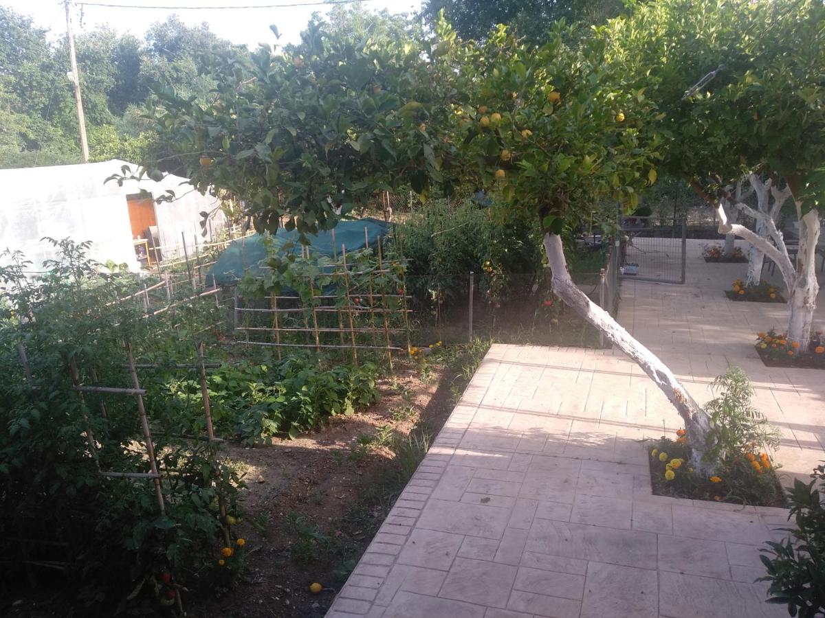 Photo 26