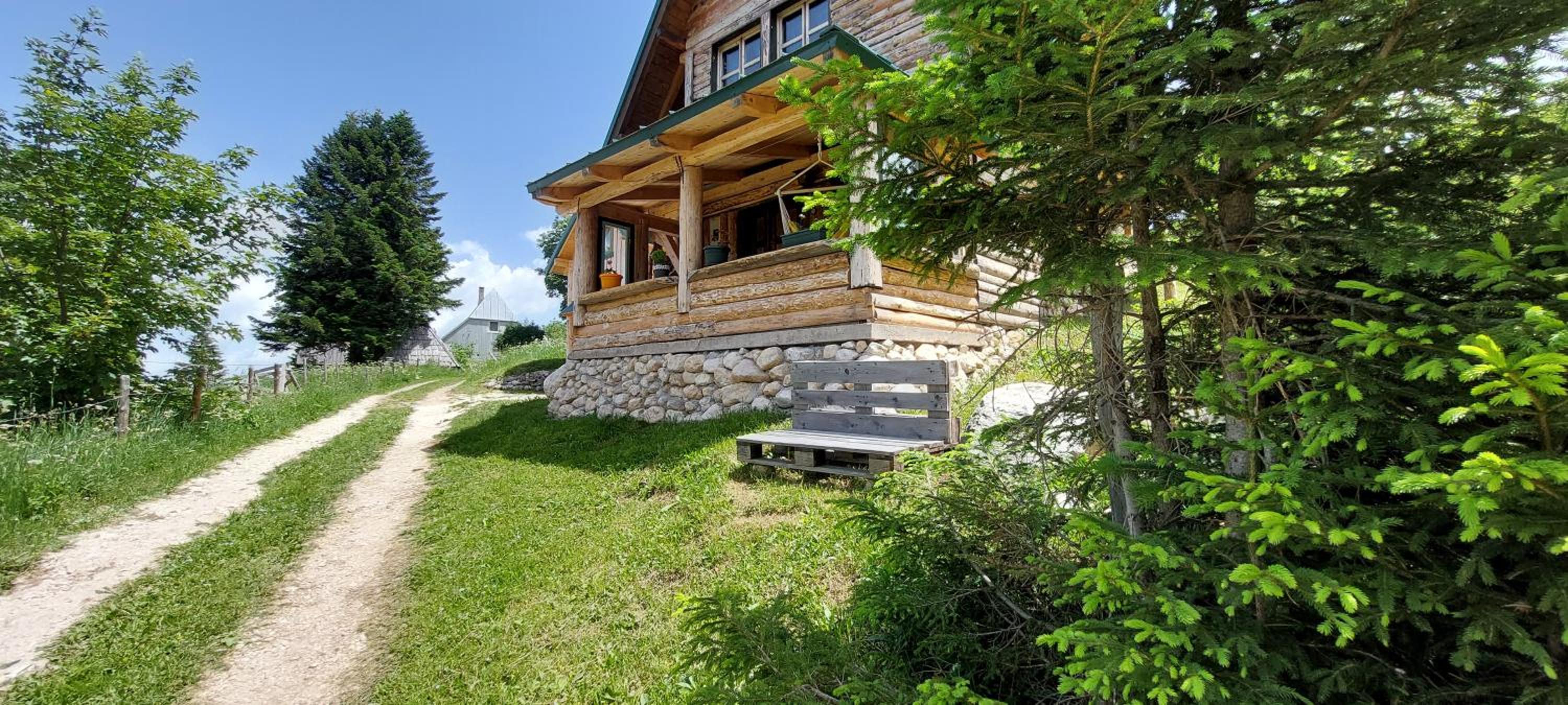 Photo 11