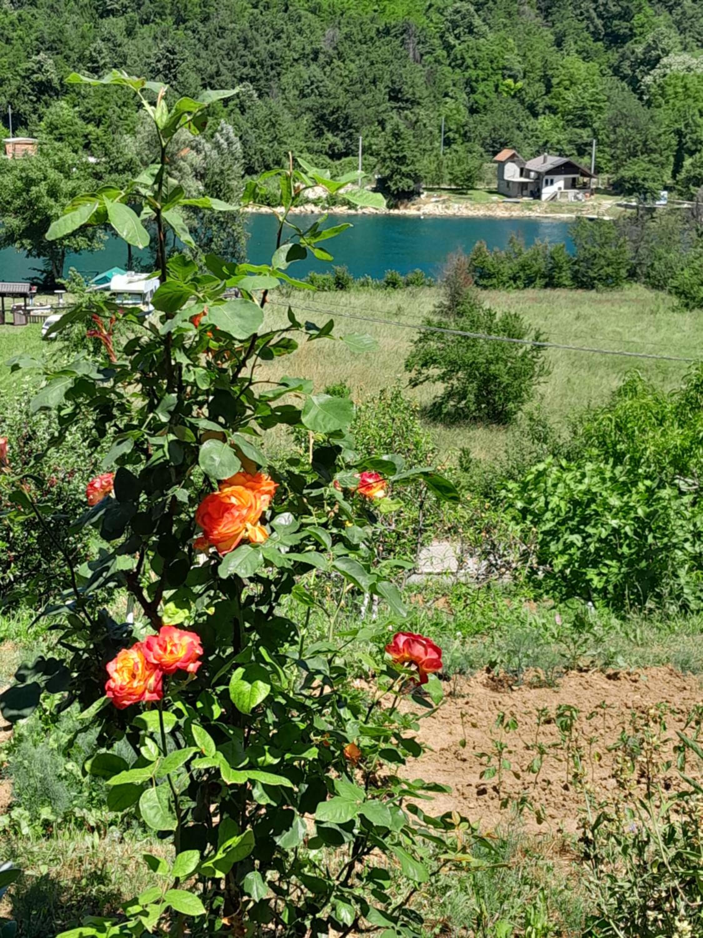Kuća za odmor Panorama Lohovo Bihać