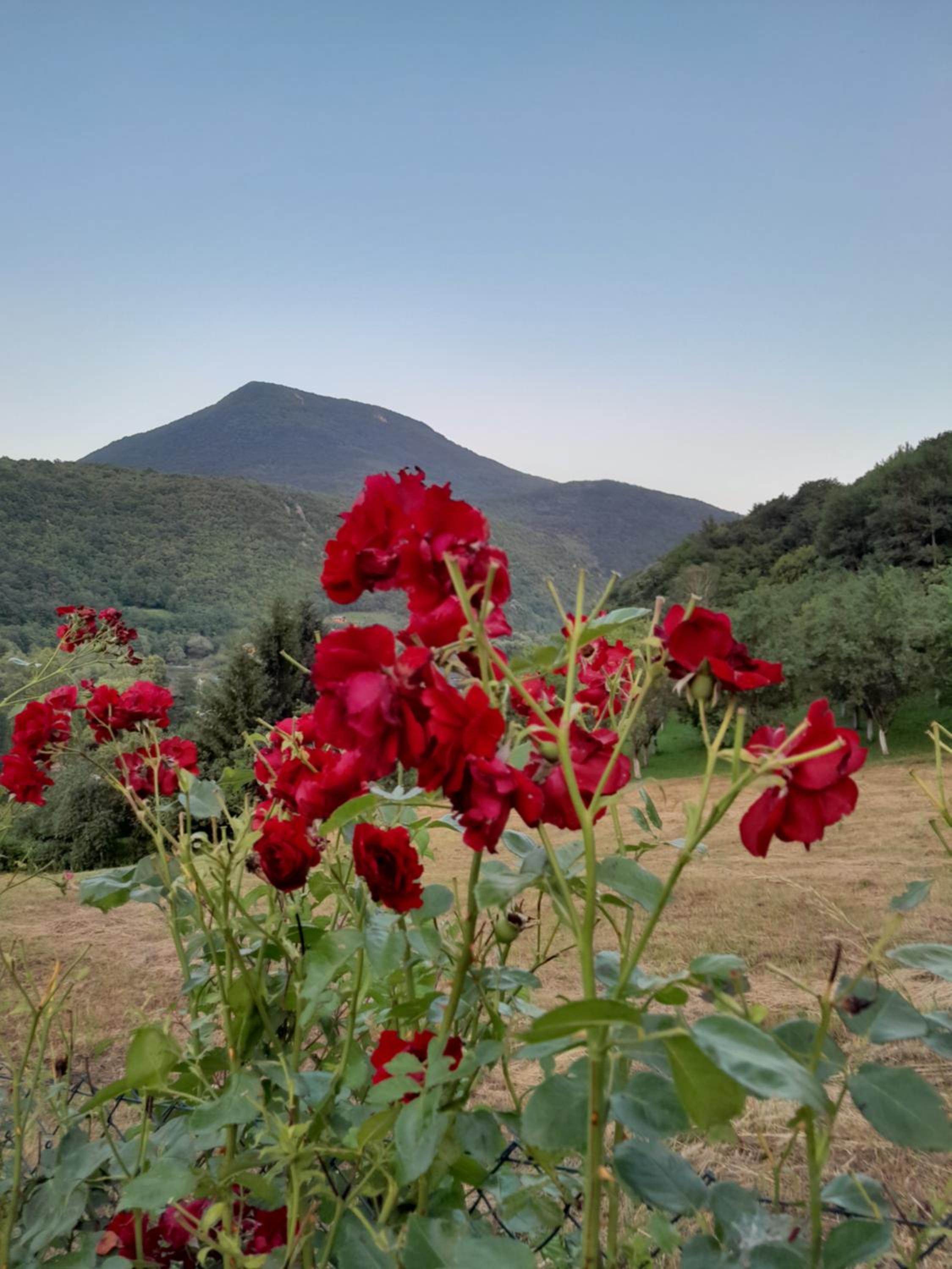 Kuća za odmor Panorama Lohovo Bihać