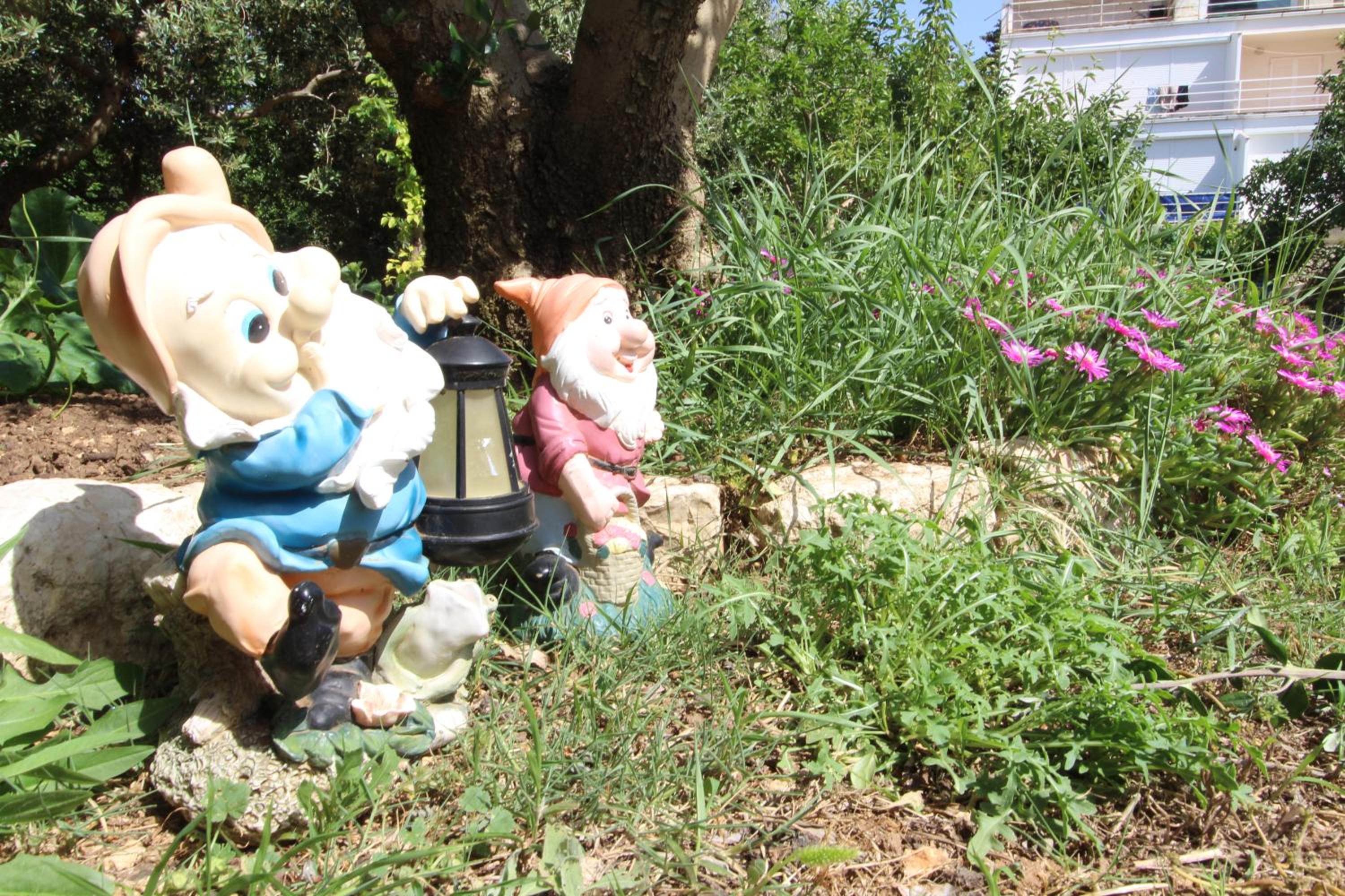 Photo 46